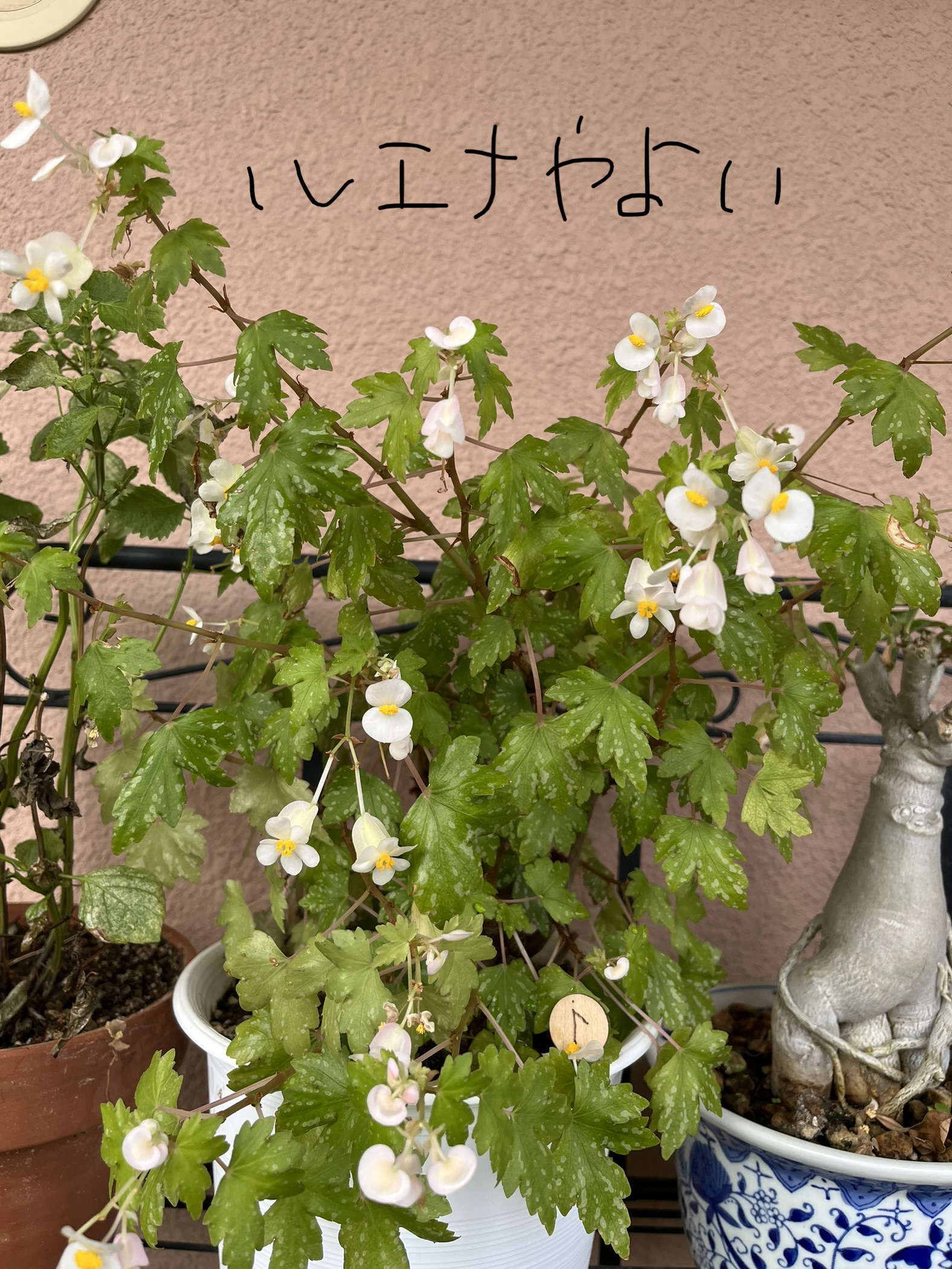 10月4日のルーン