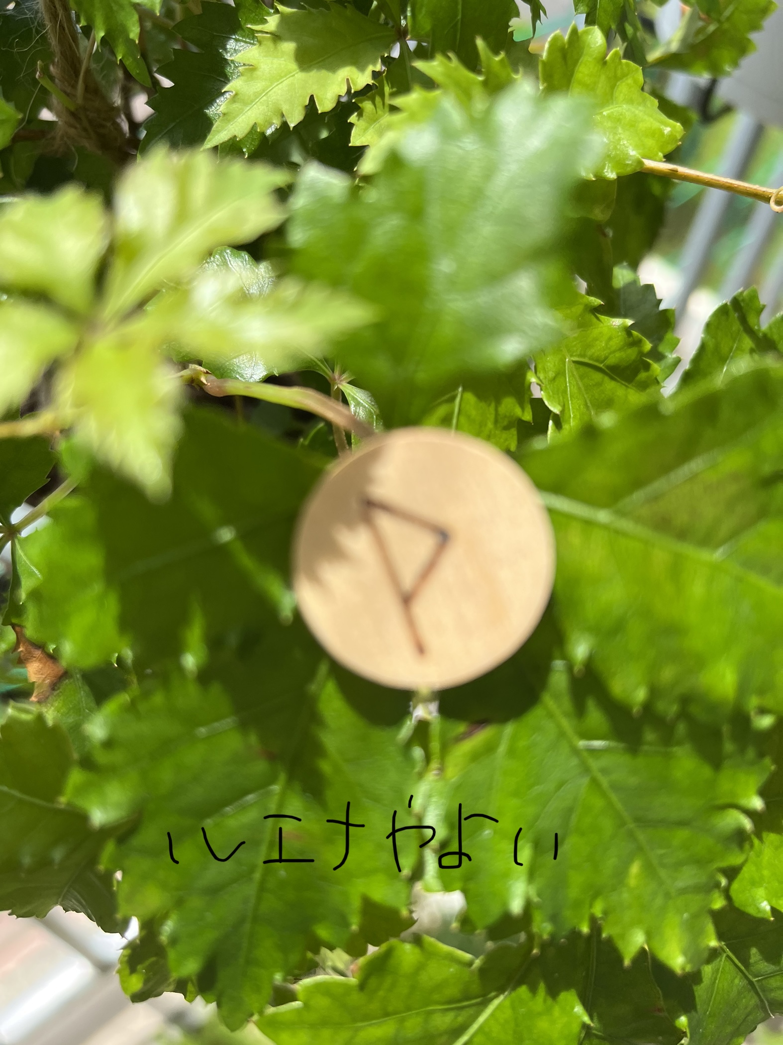 7月23日のルーン