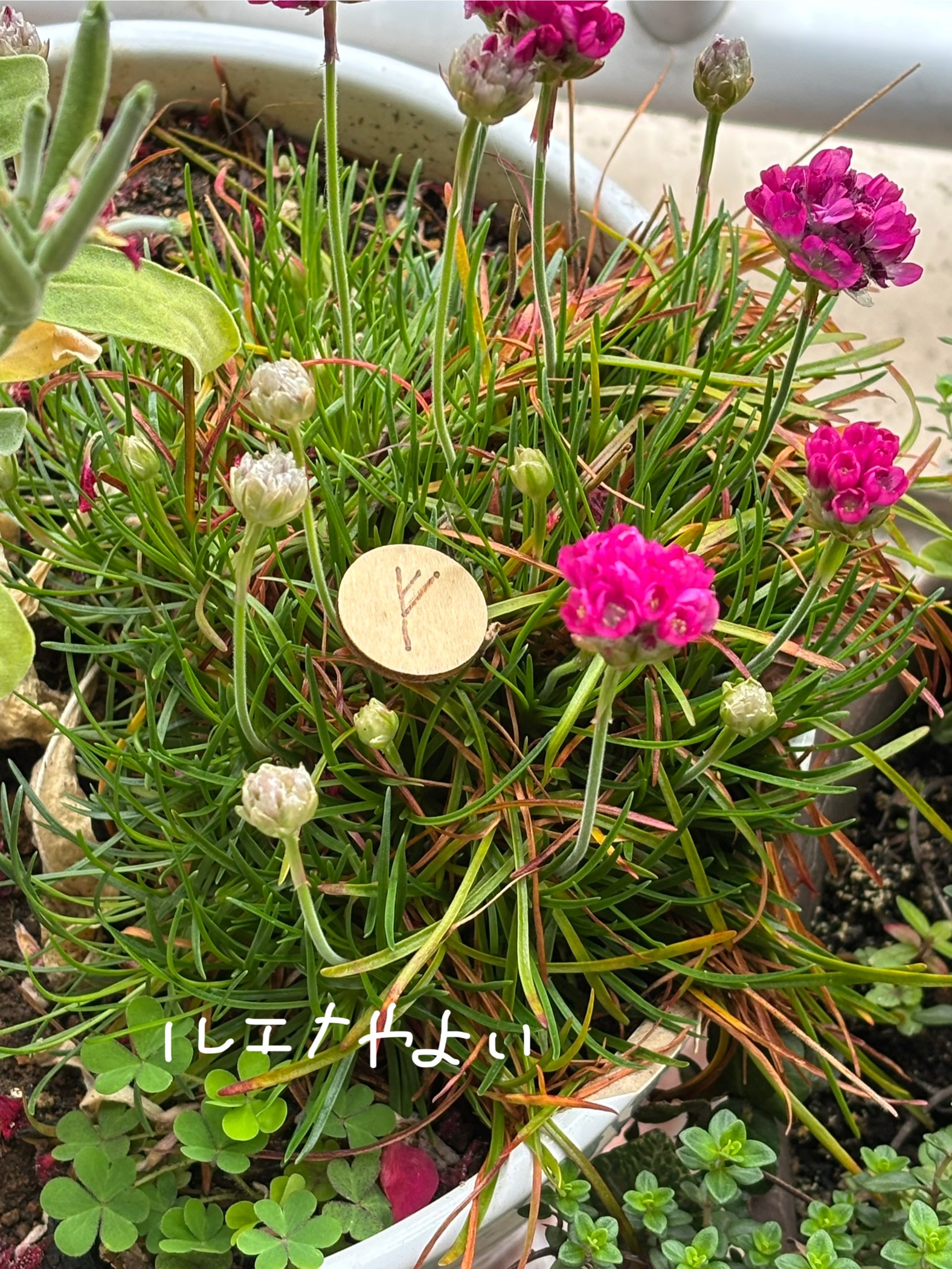 4月7日のルーン。