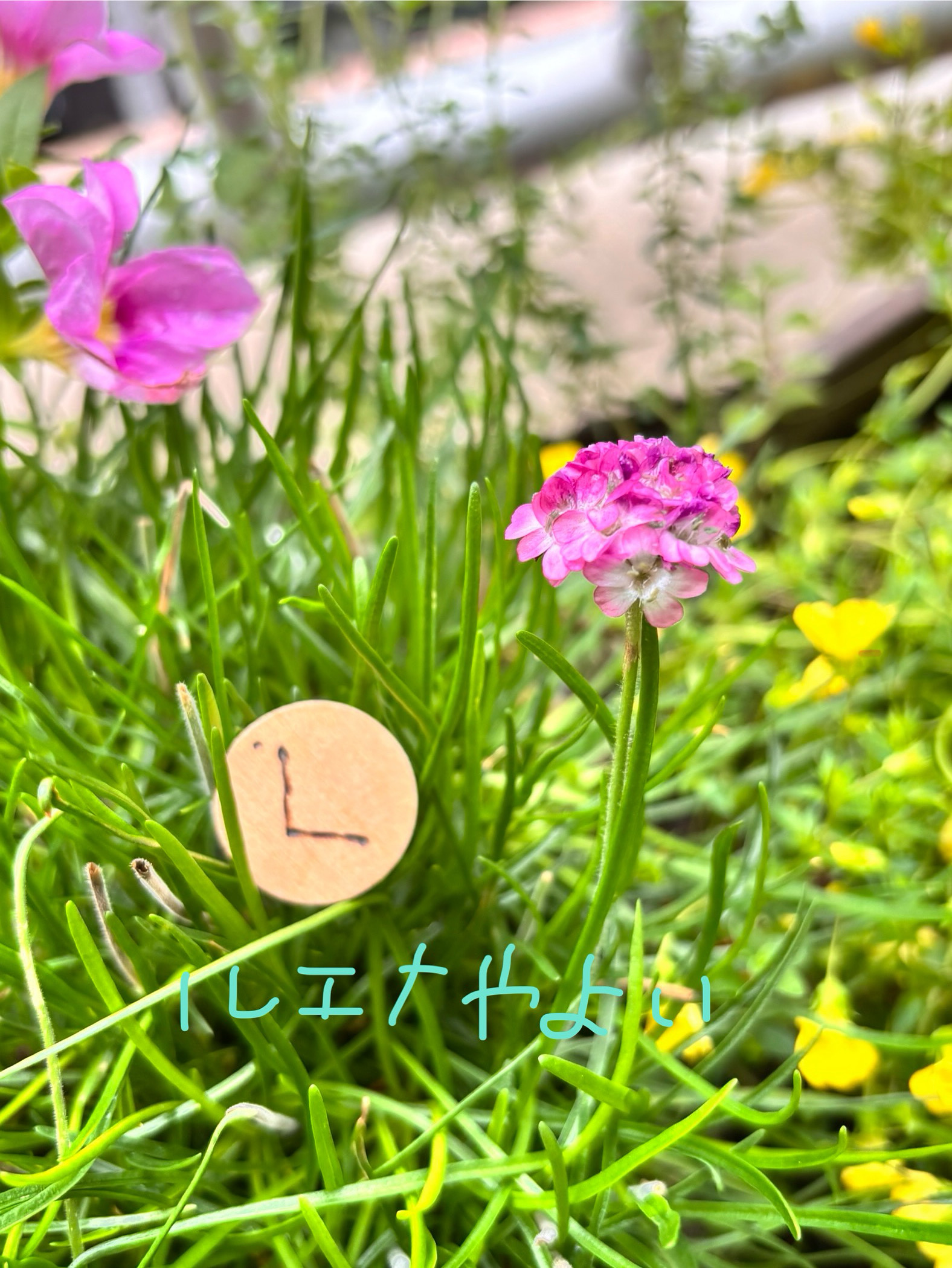 6月18日のルーン