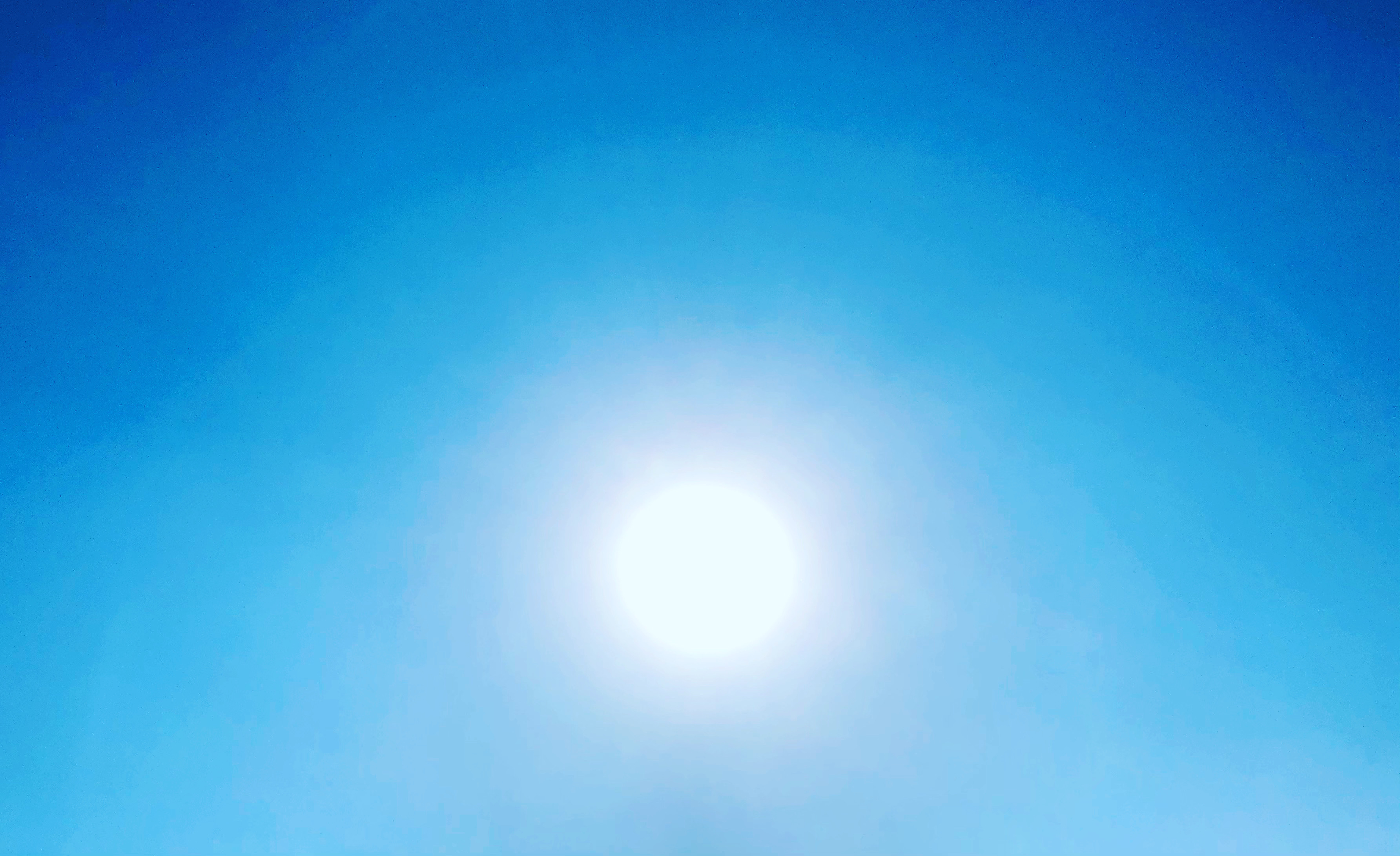 今週の占い予定