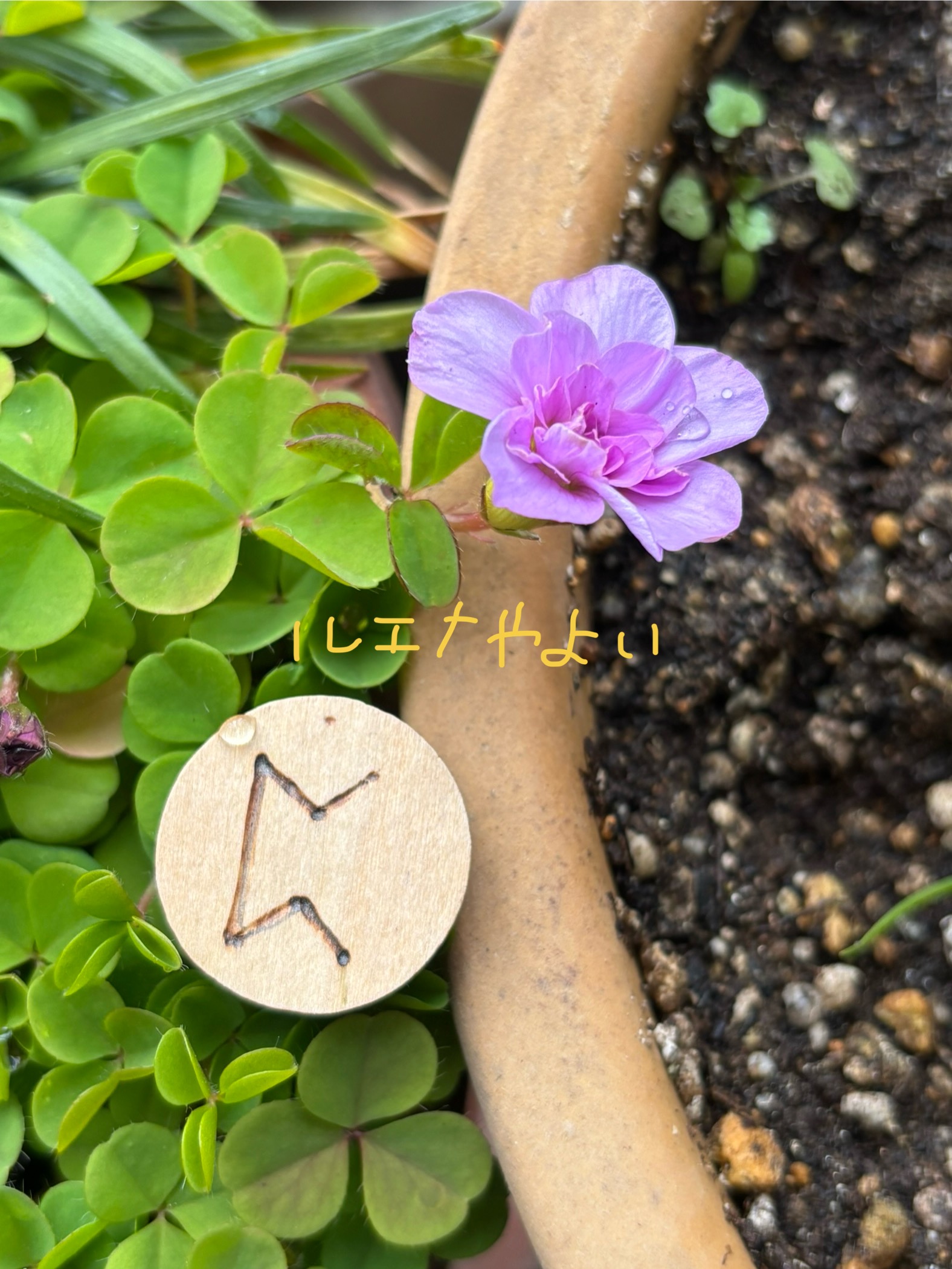 12月28日のルーン。