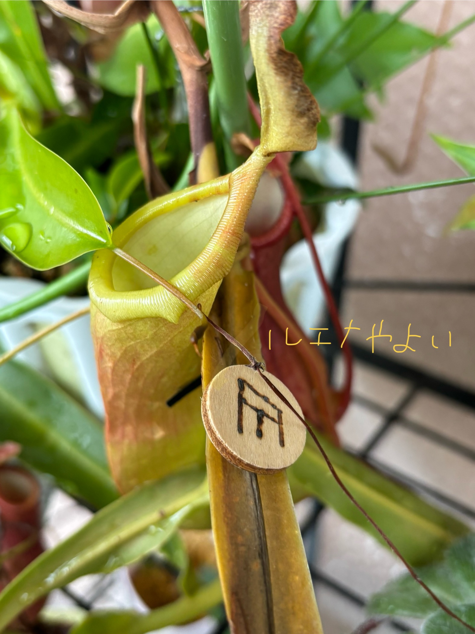 10月5日のルーン