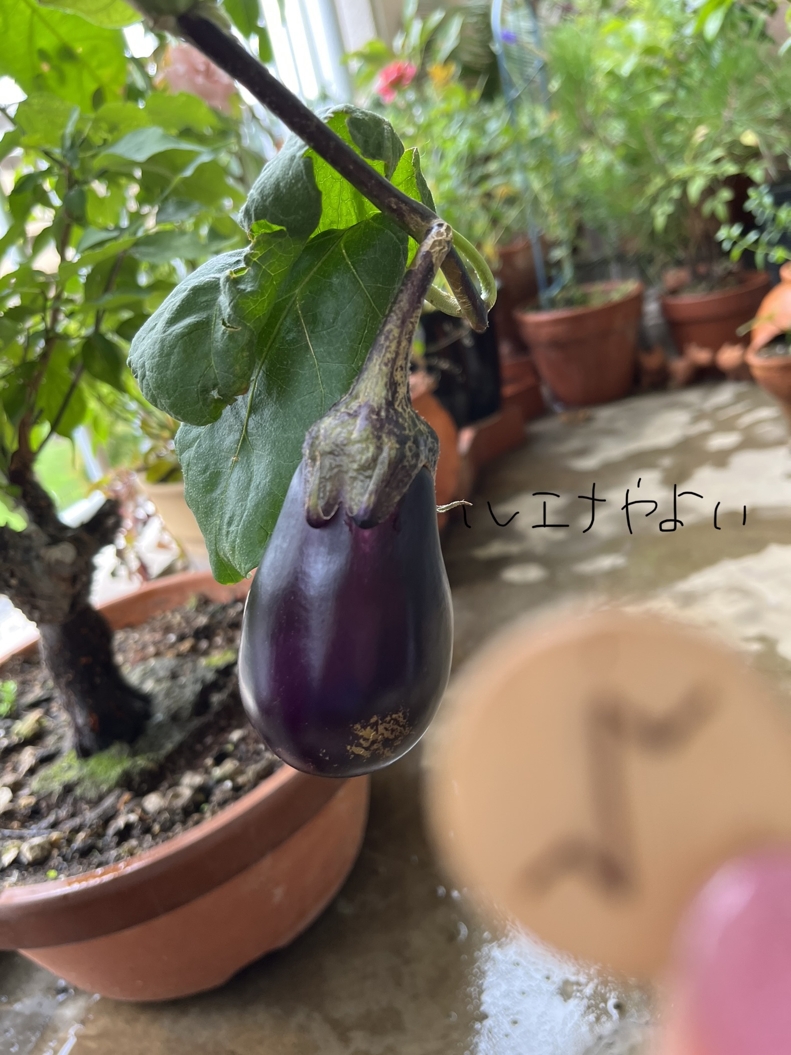 10月8日のルーン