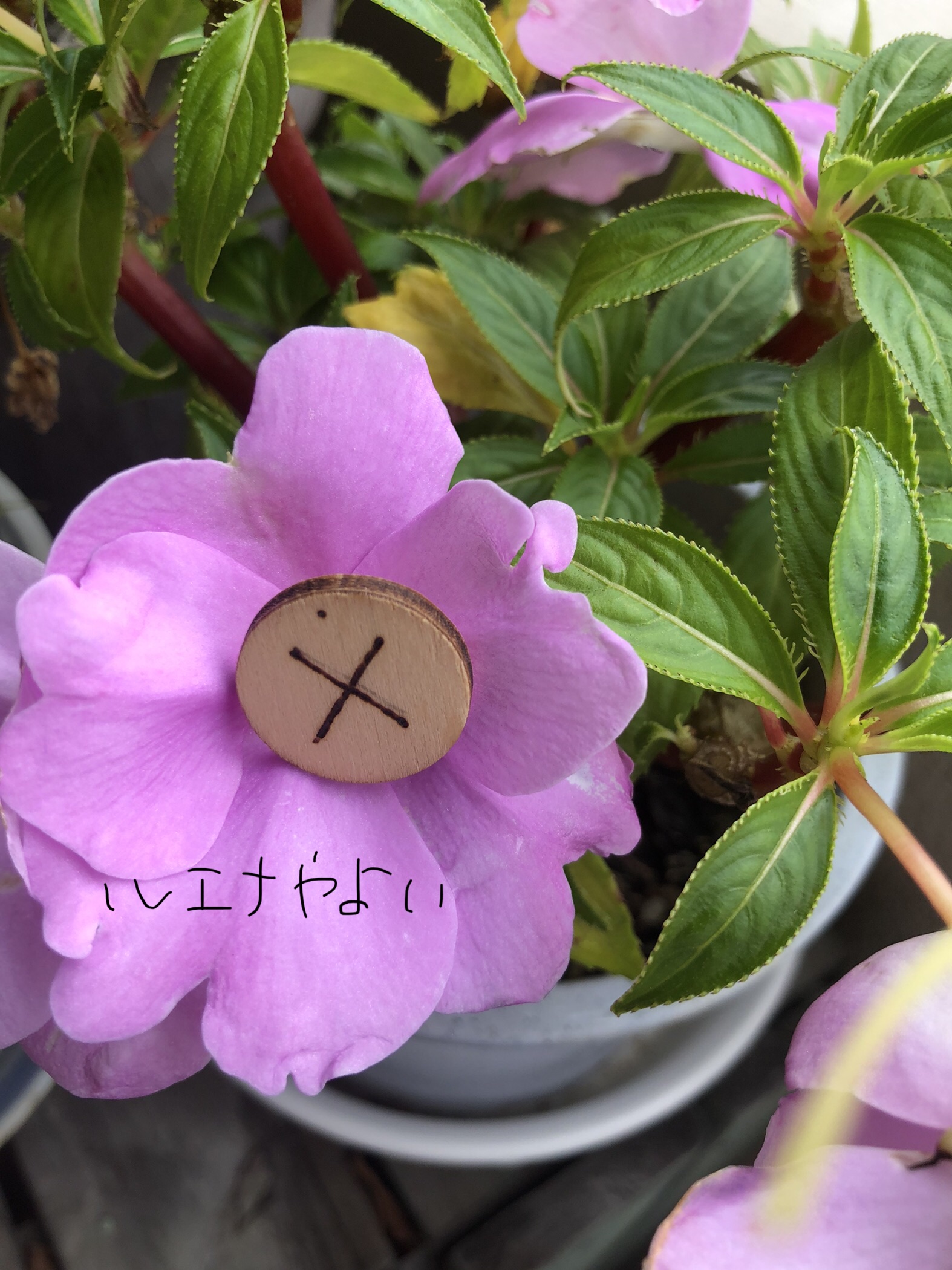 6月28日のルーン