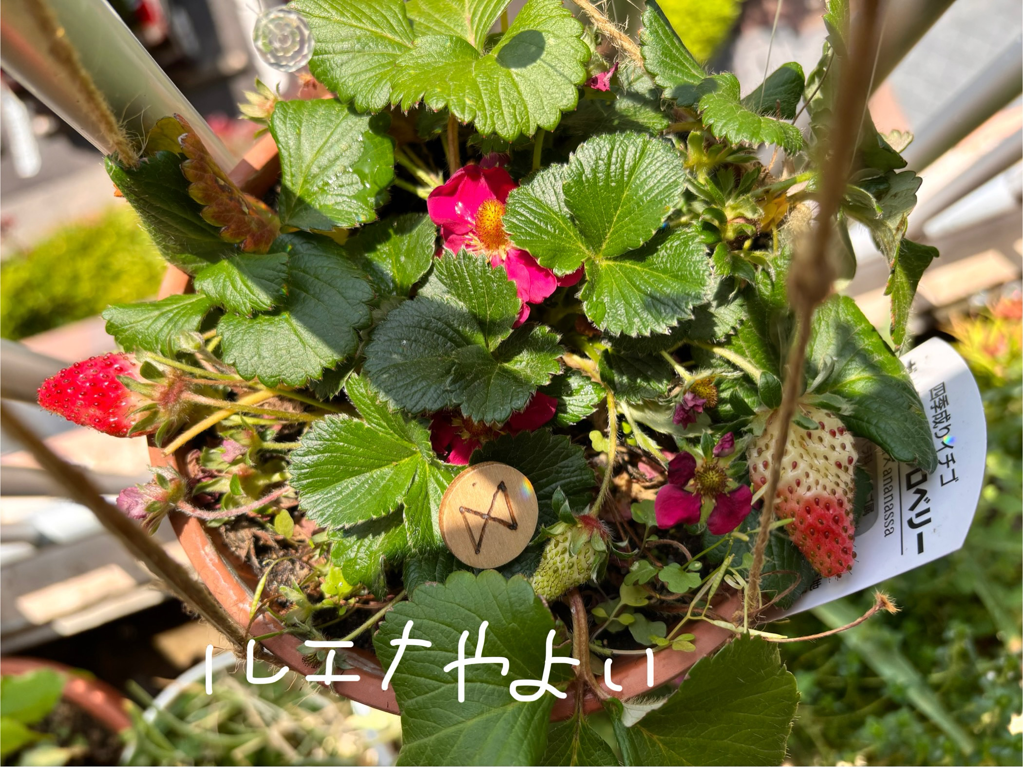 5月10日のルーン