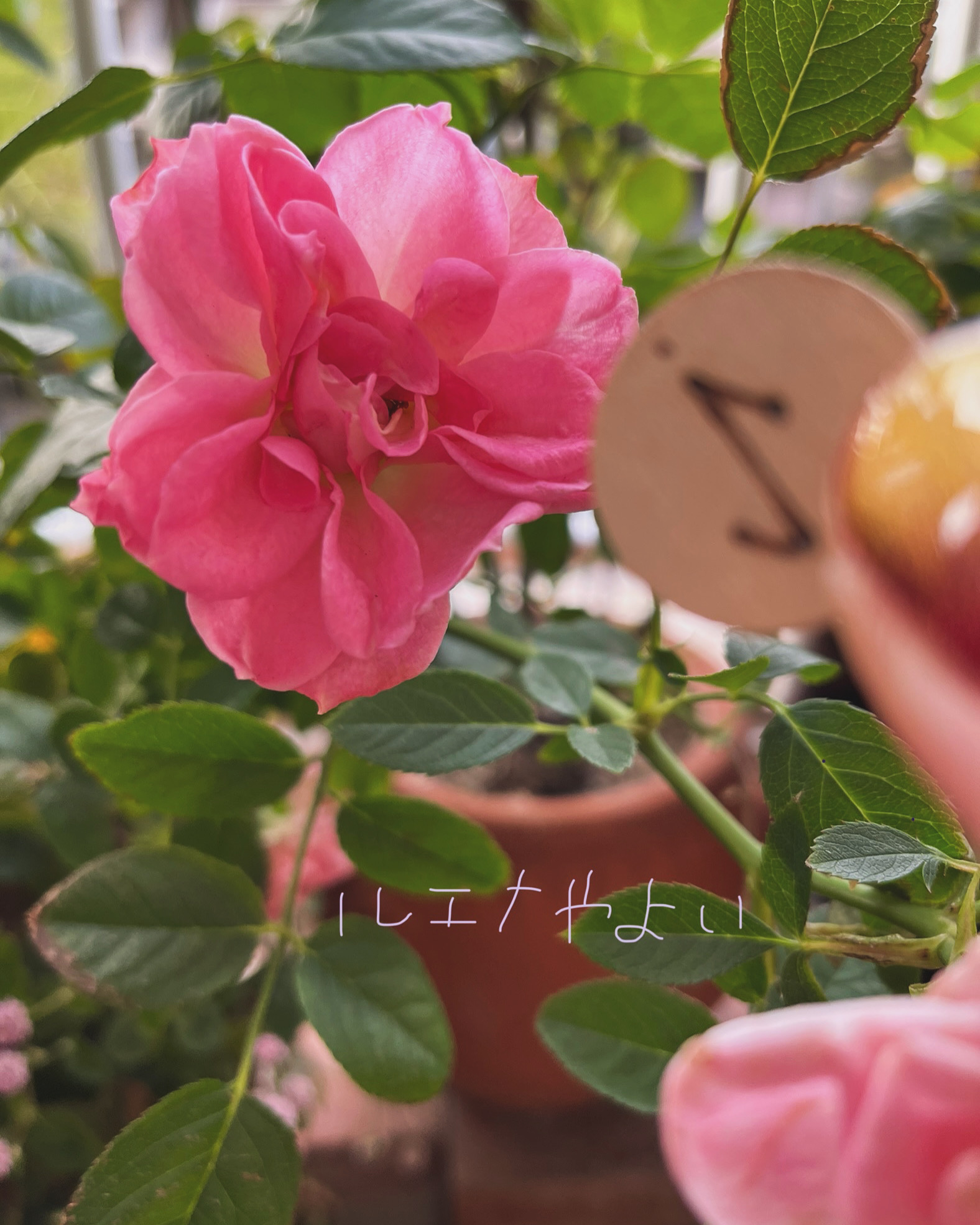 12月4日のルーン