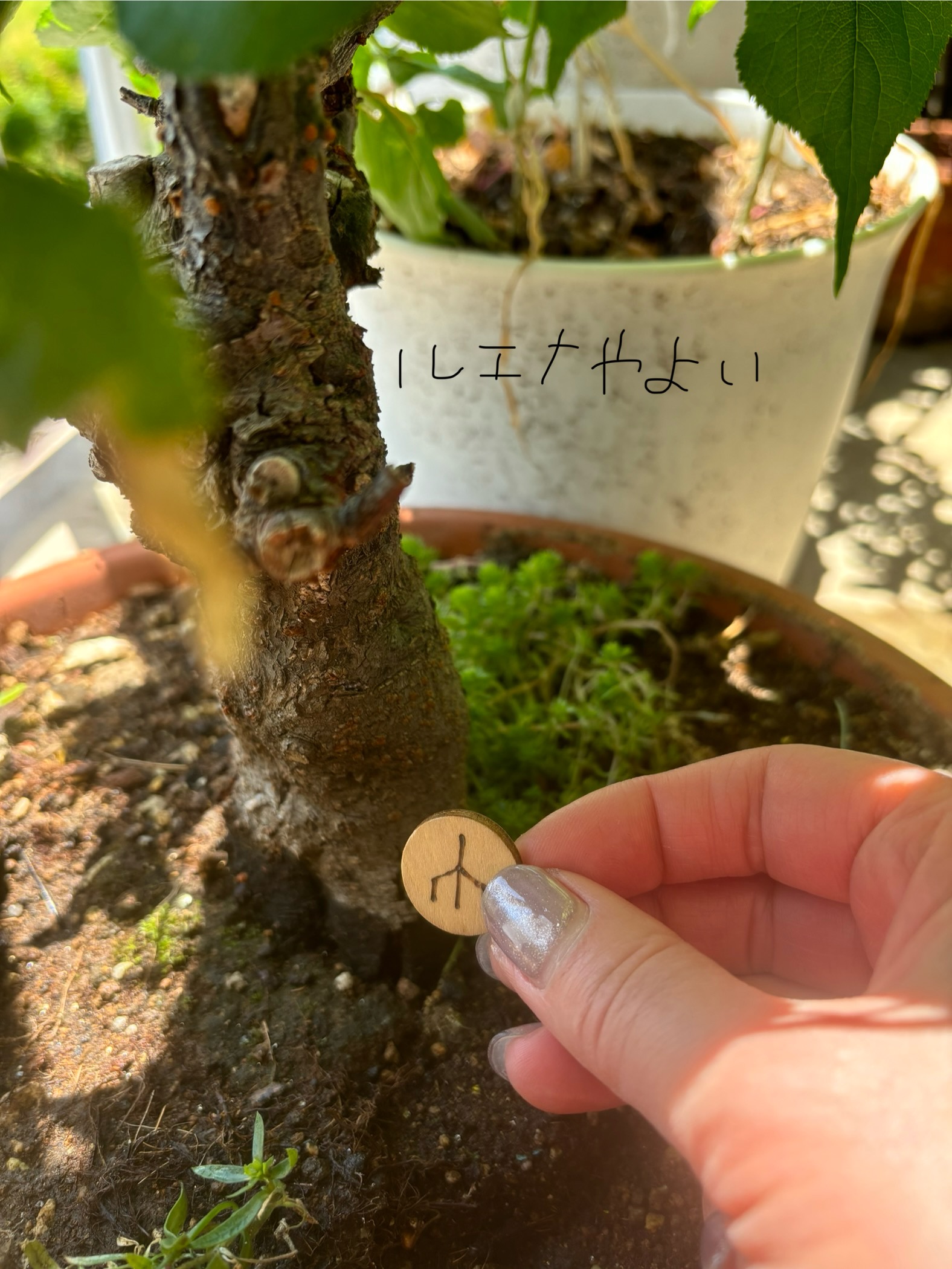 6月7日のルーン。
