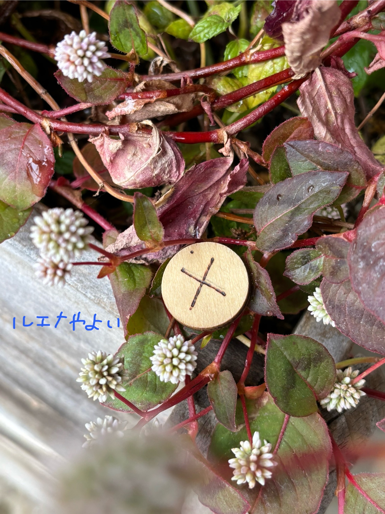 12月30日のルーン