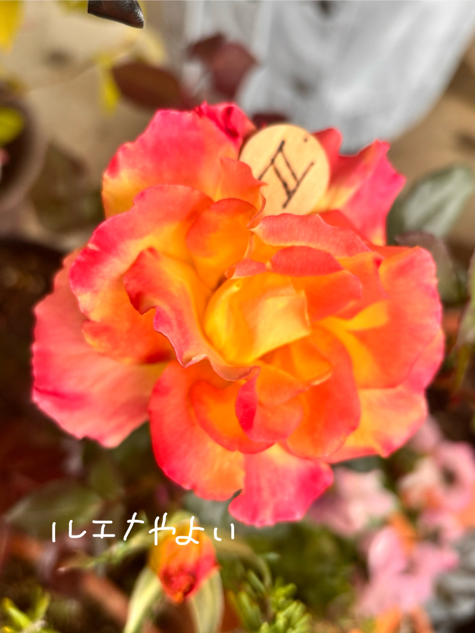 4月9日のルーン