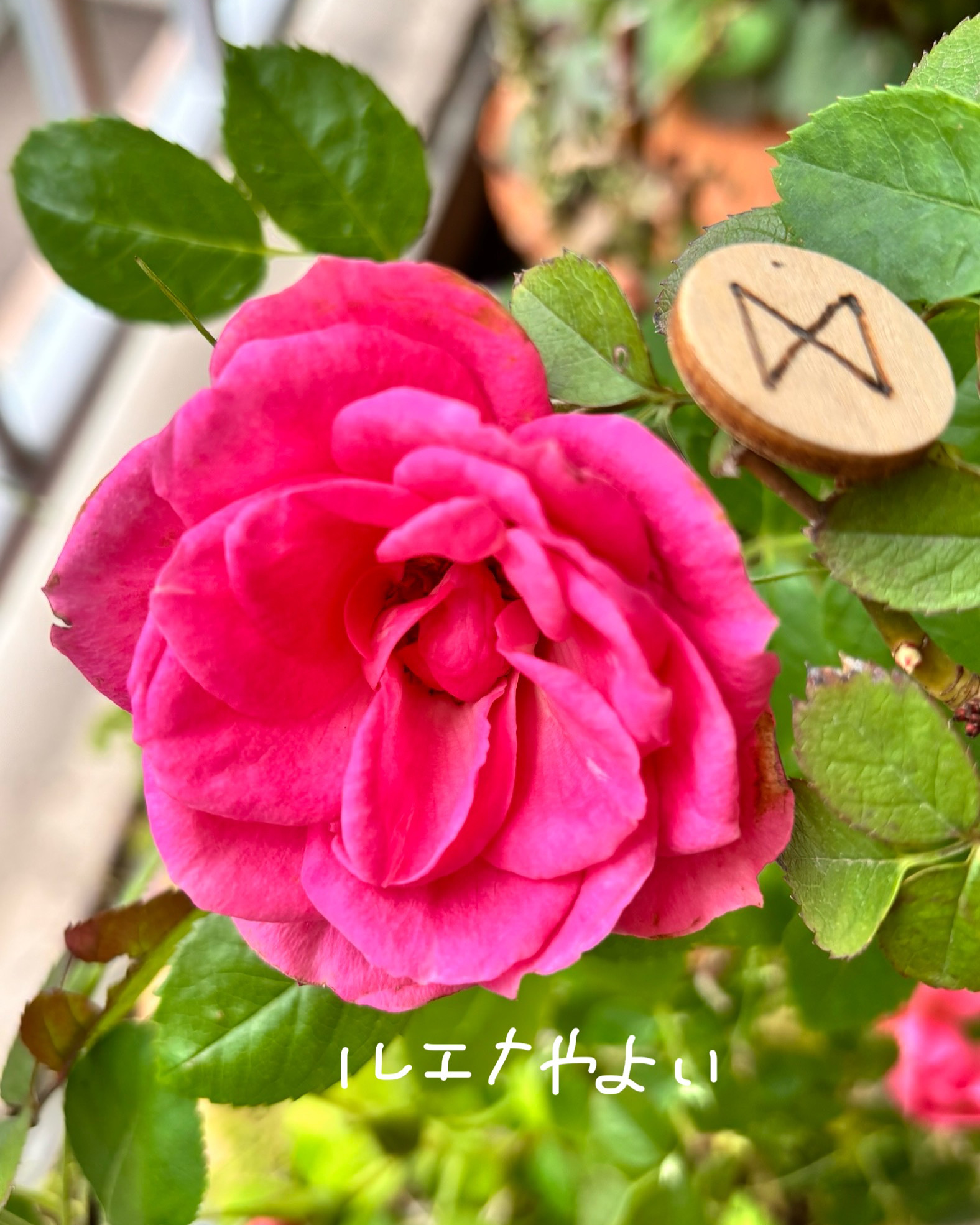 5月16日のルーン