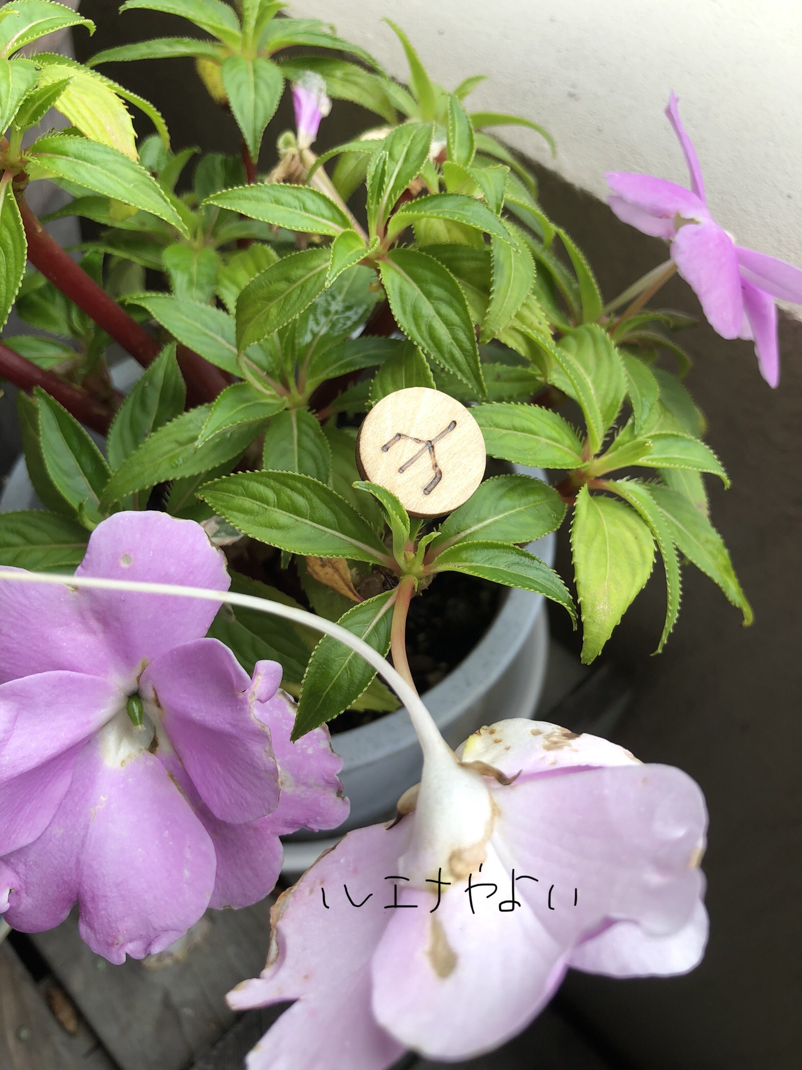 7月3日のルーン