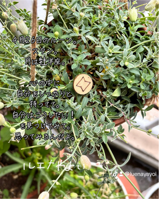 4月26日のルーン