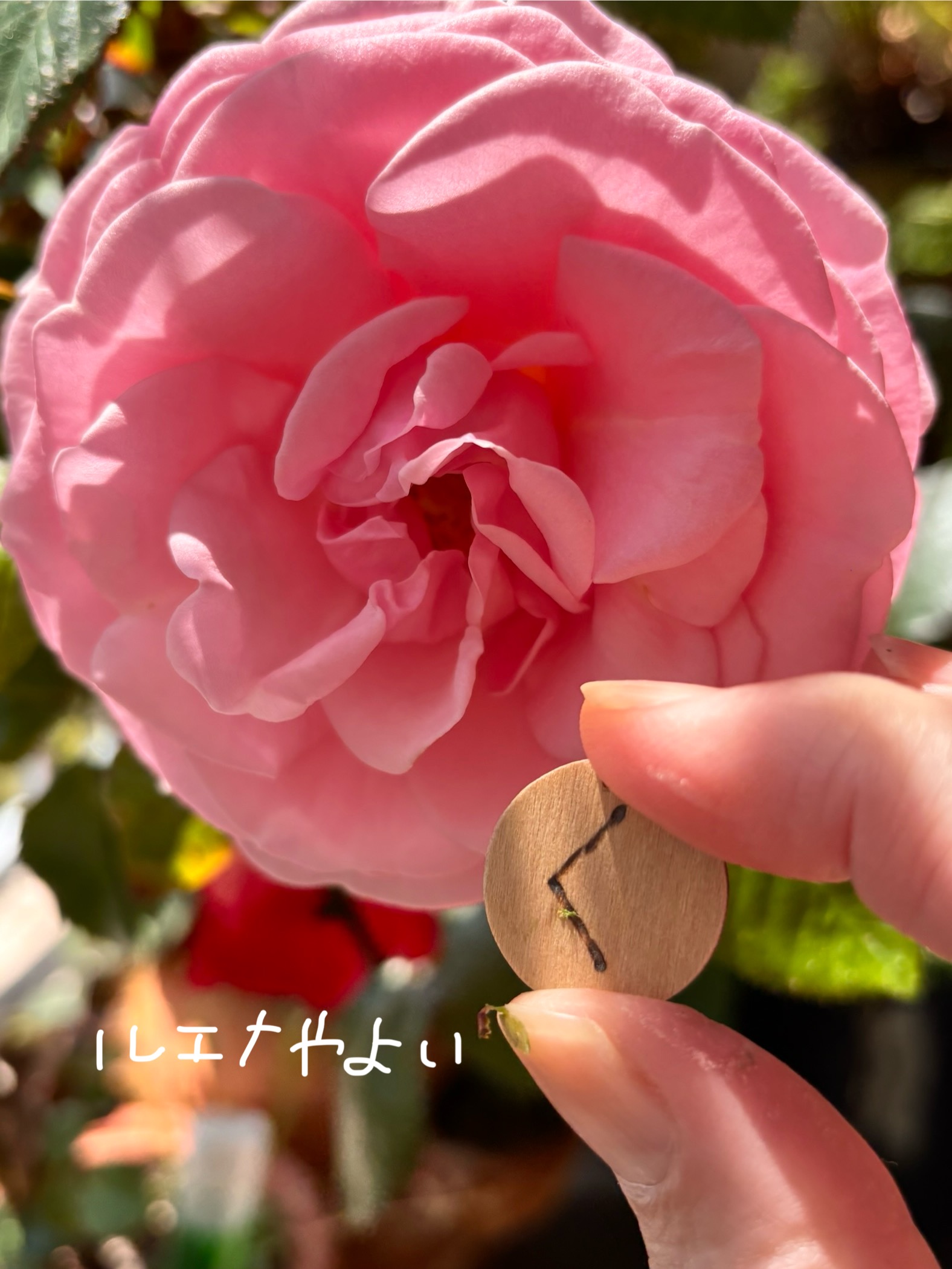 5月7日のルーン