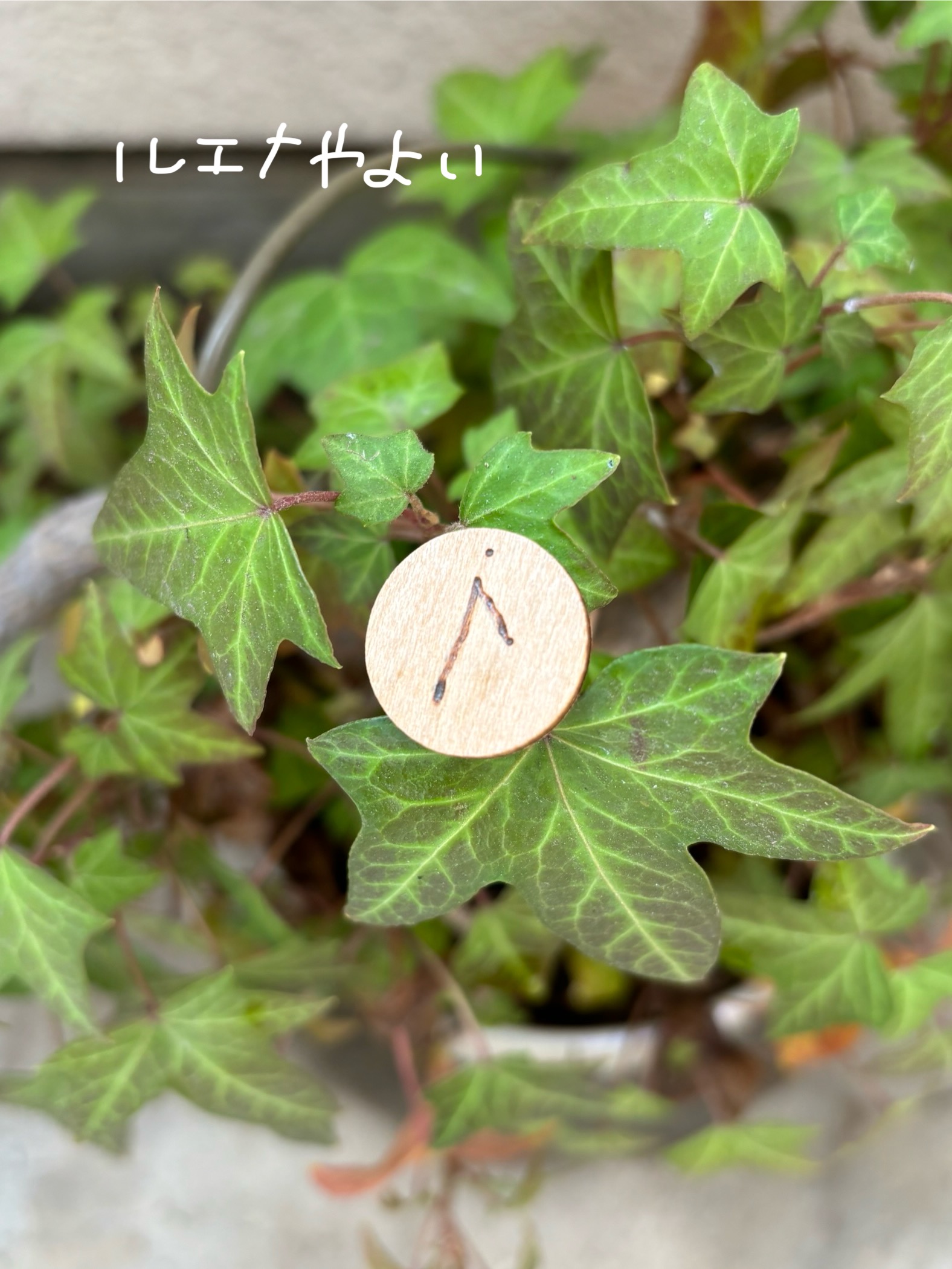 3月14日のルーン。