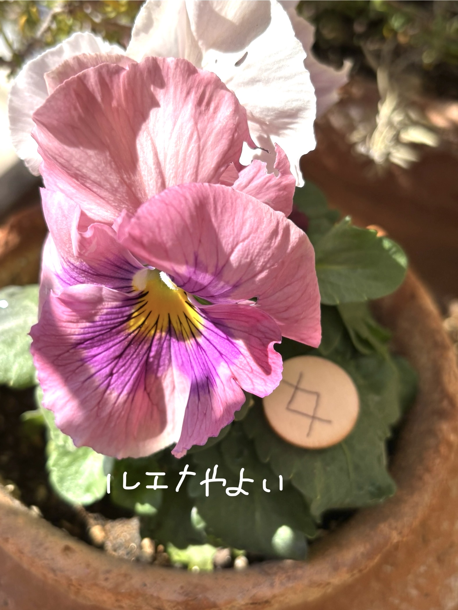 2月27日のルーン
