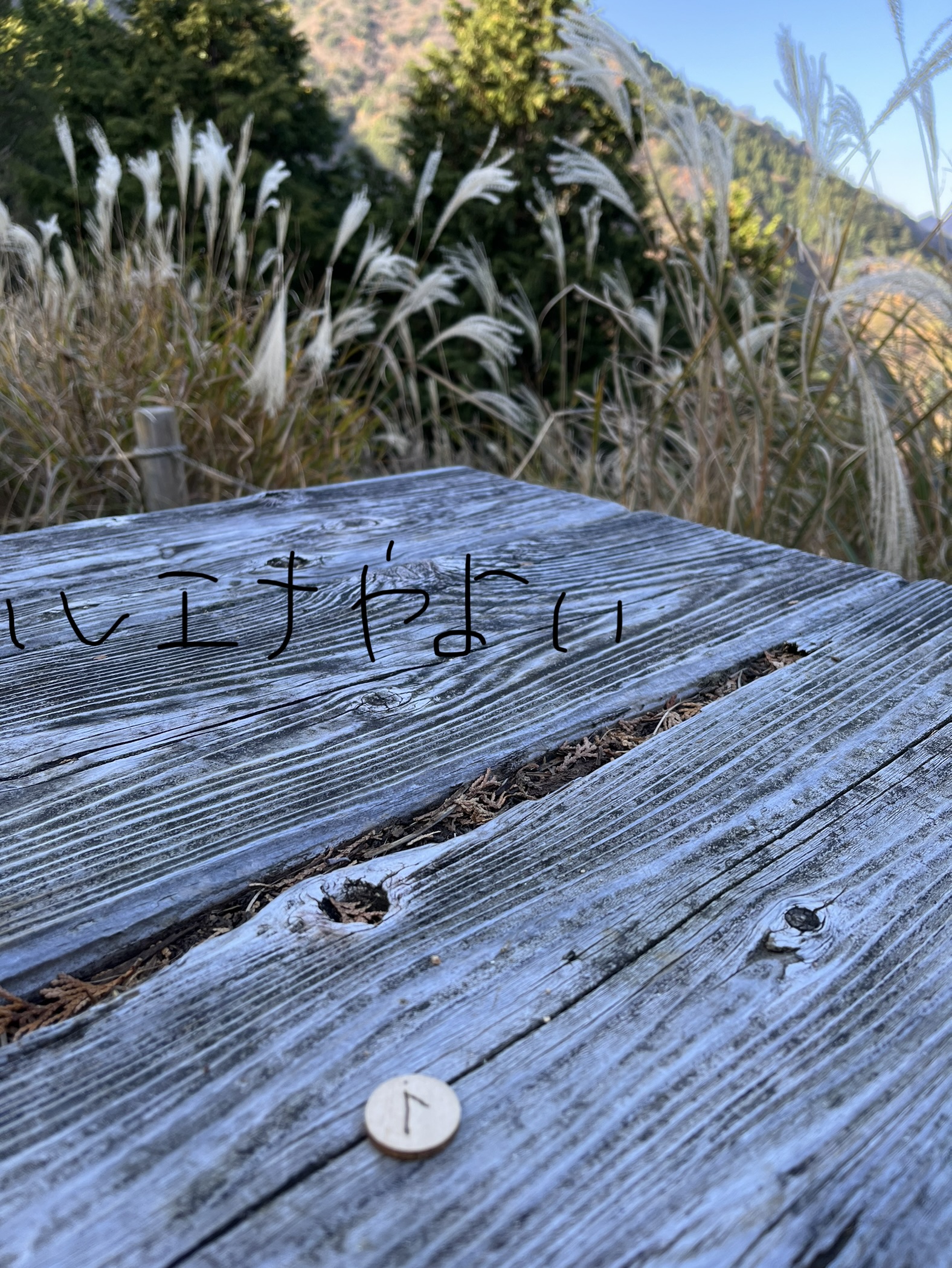 11月12日のルーン