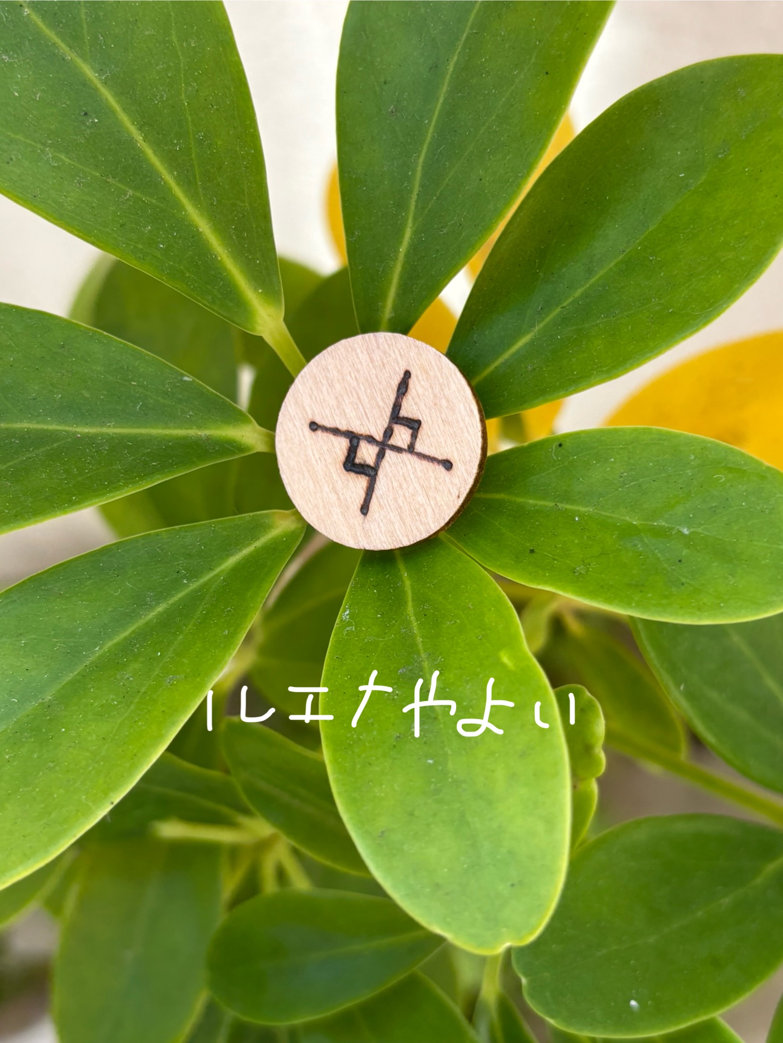 12月24日のルーン