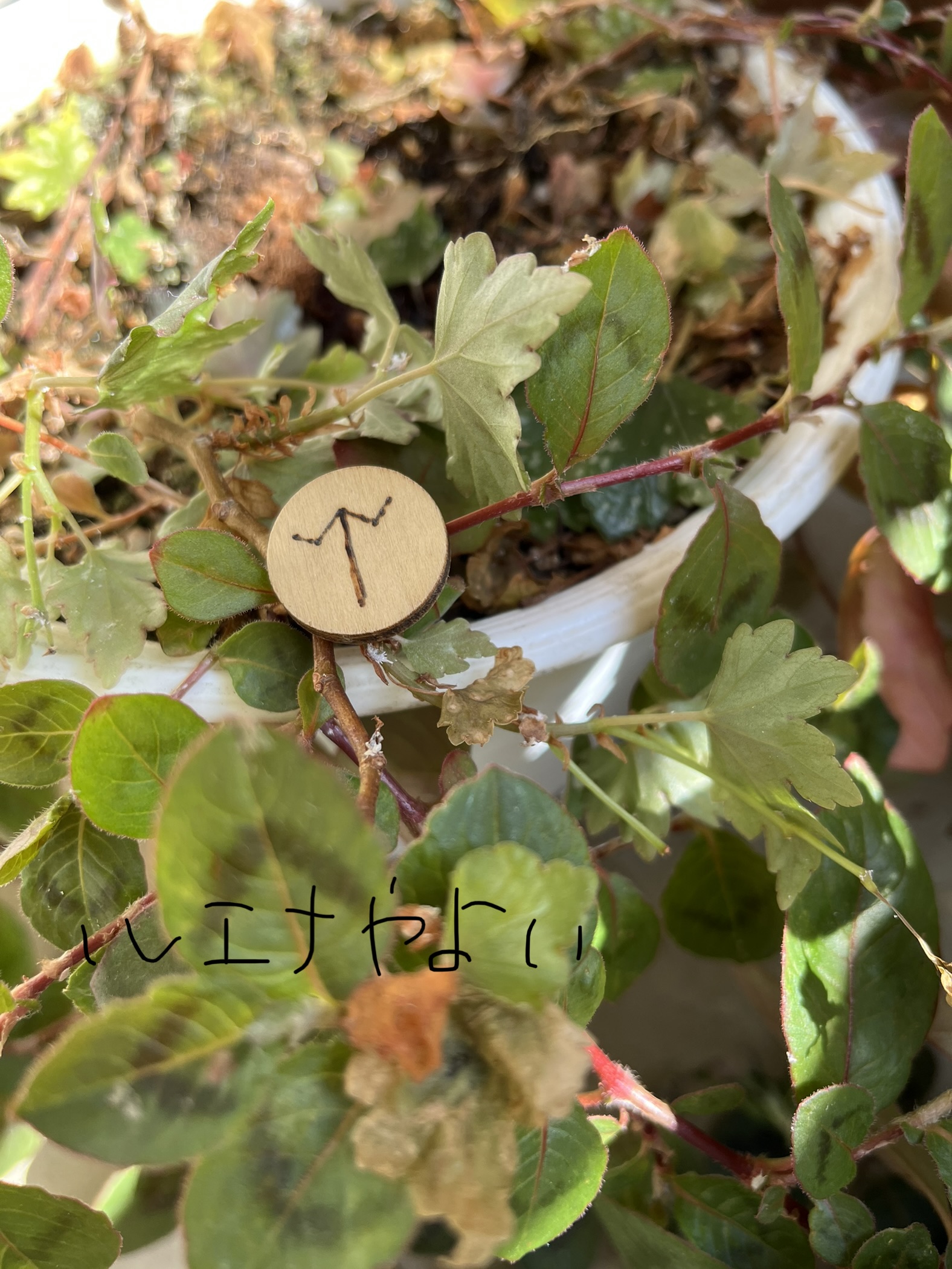 10月17日のルーン