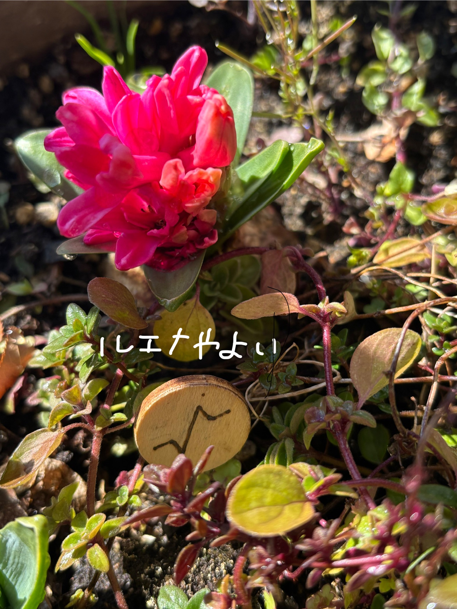 2月1日のルーン