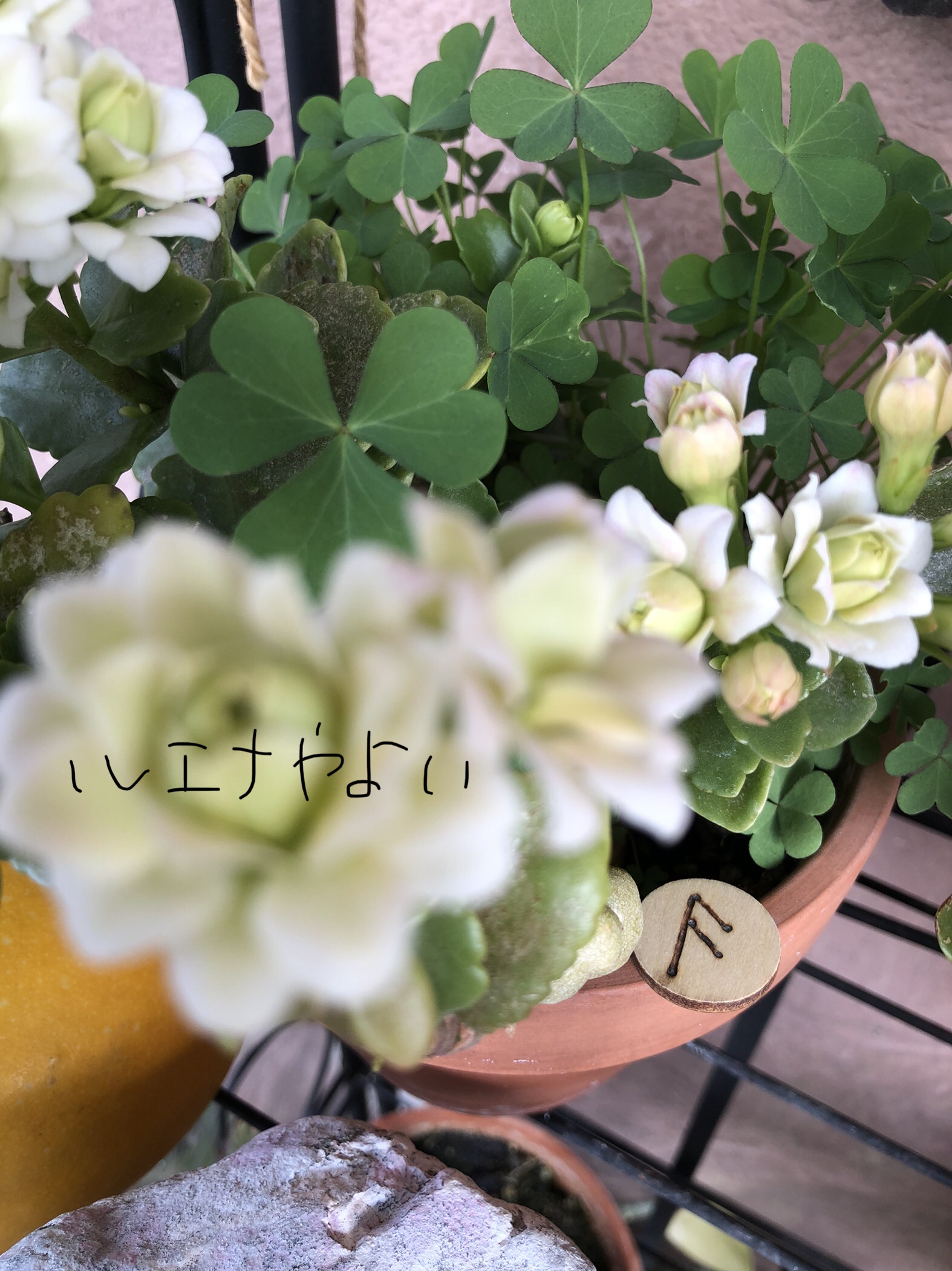 2月27日のルーン