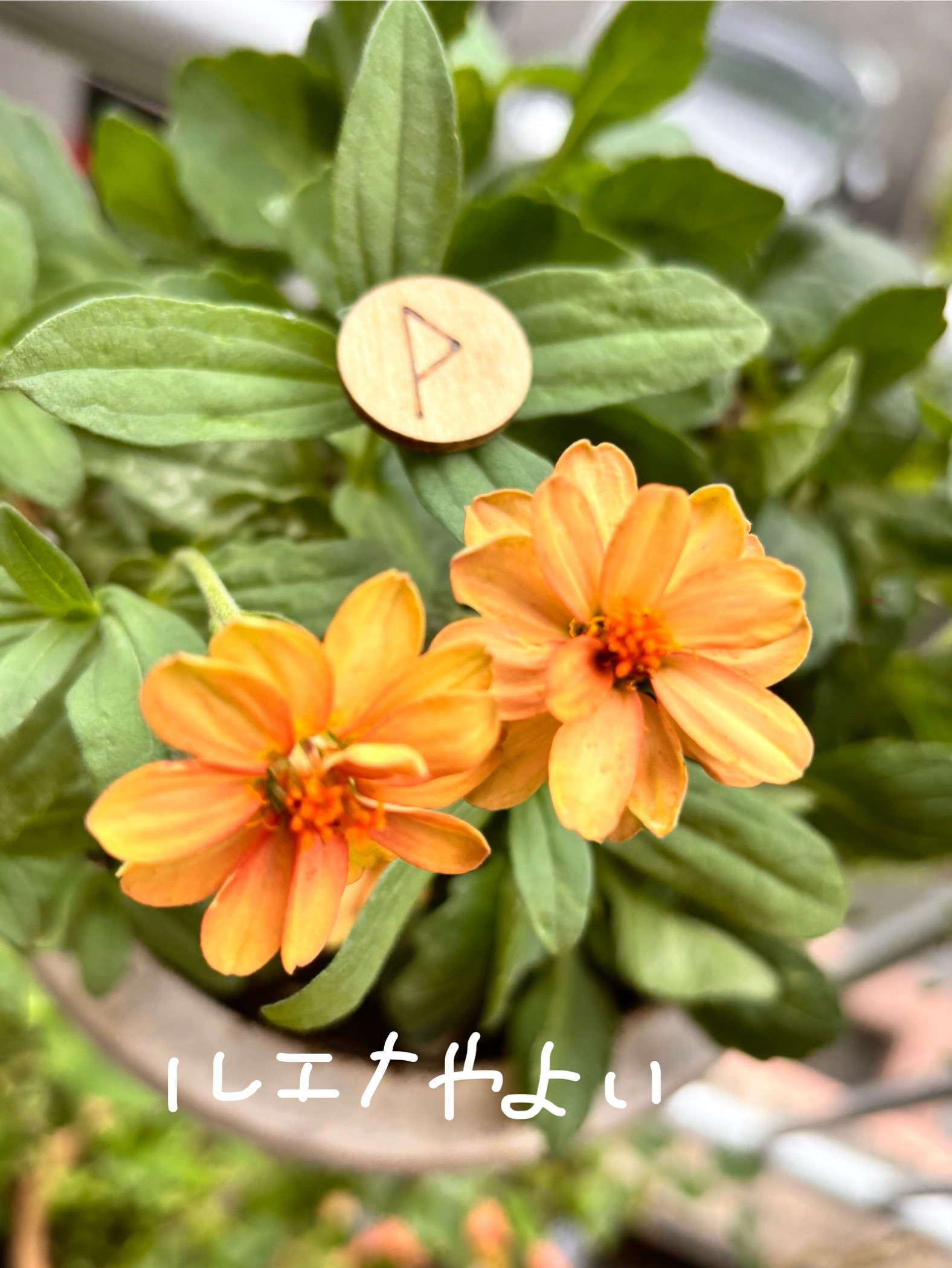 7月17日のルーン