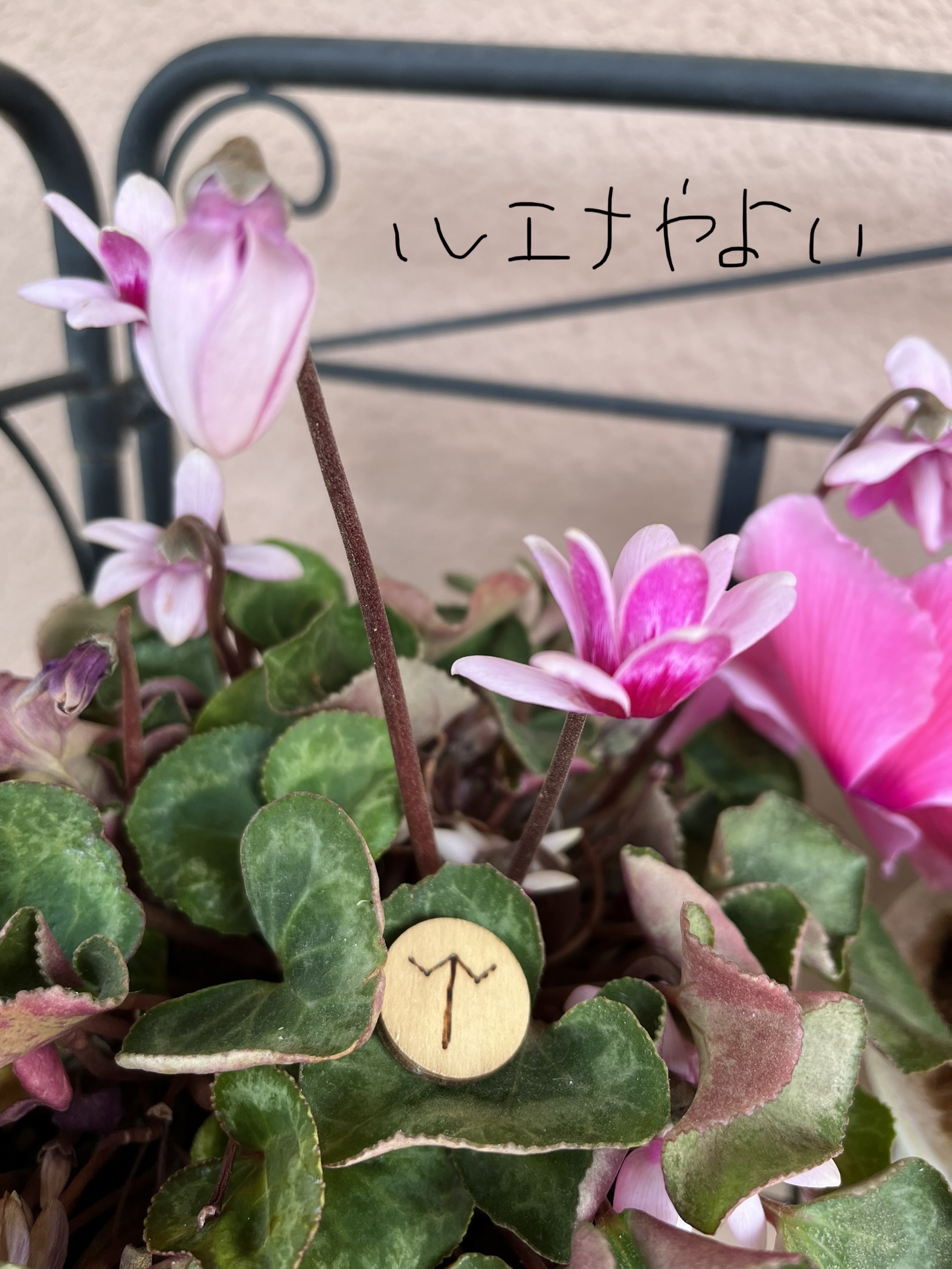 4月9日のルーン