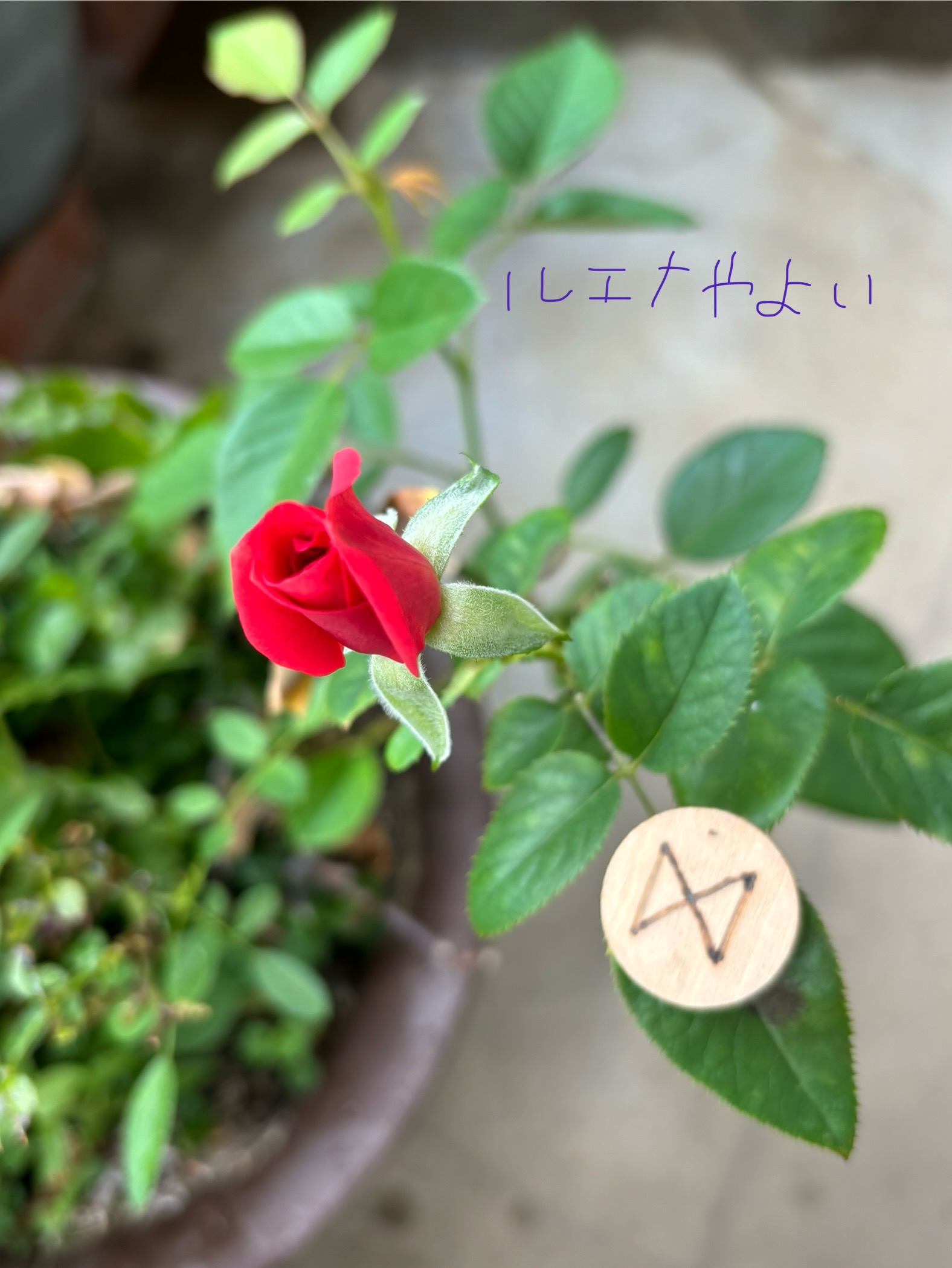 9月25日のルーン