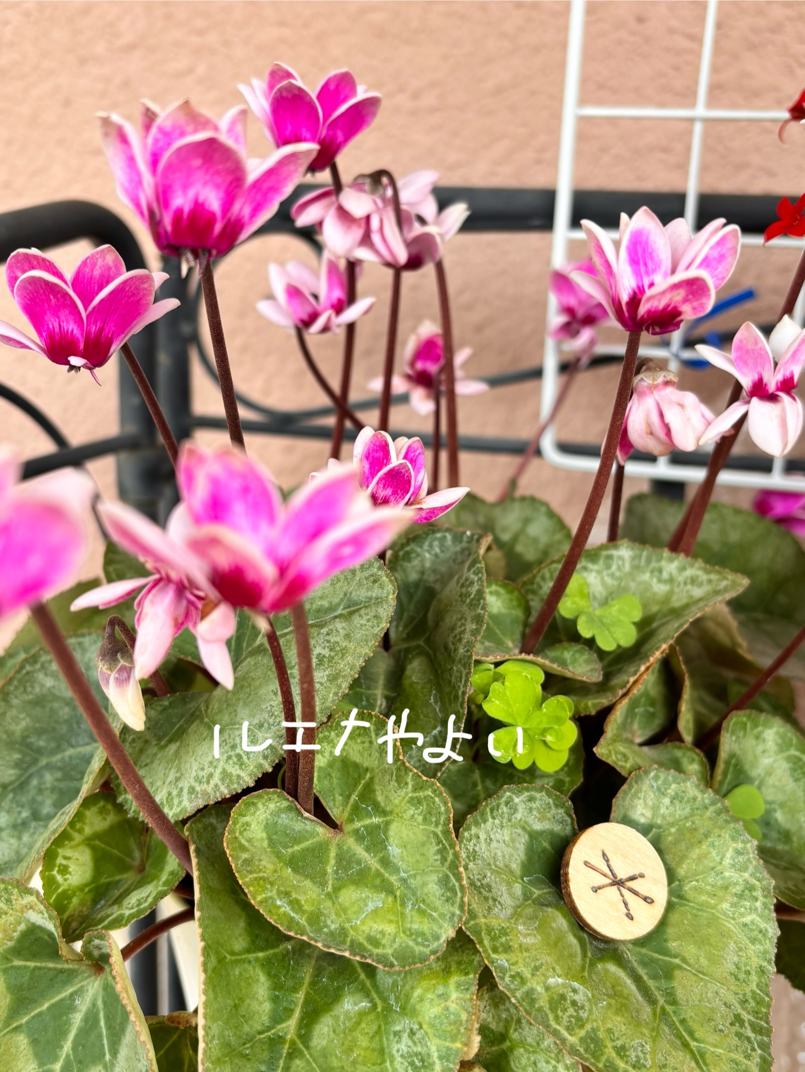 4月13日のルーン
