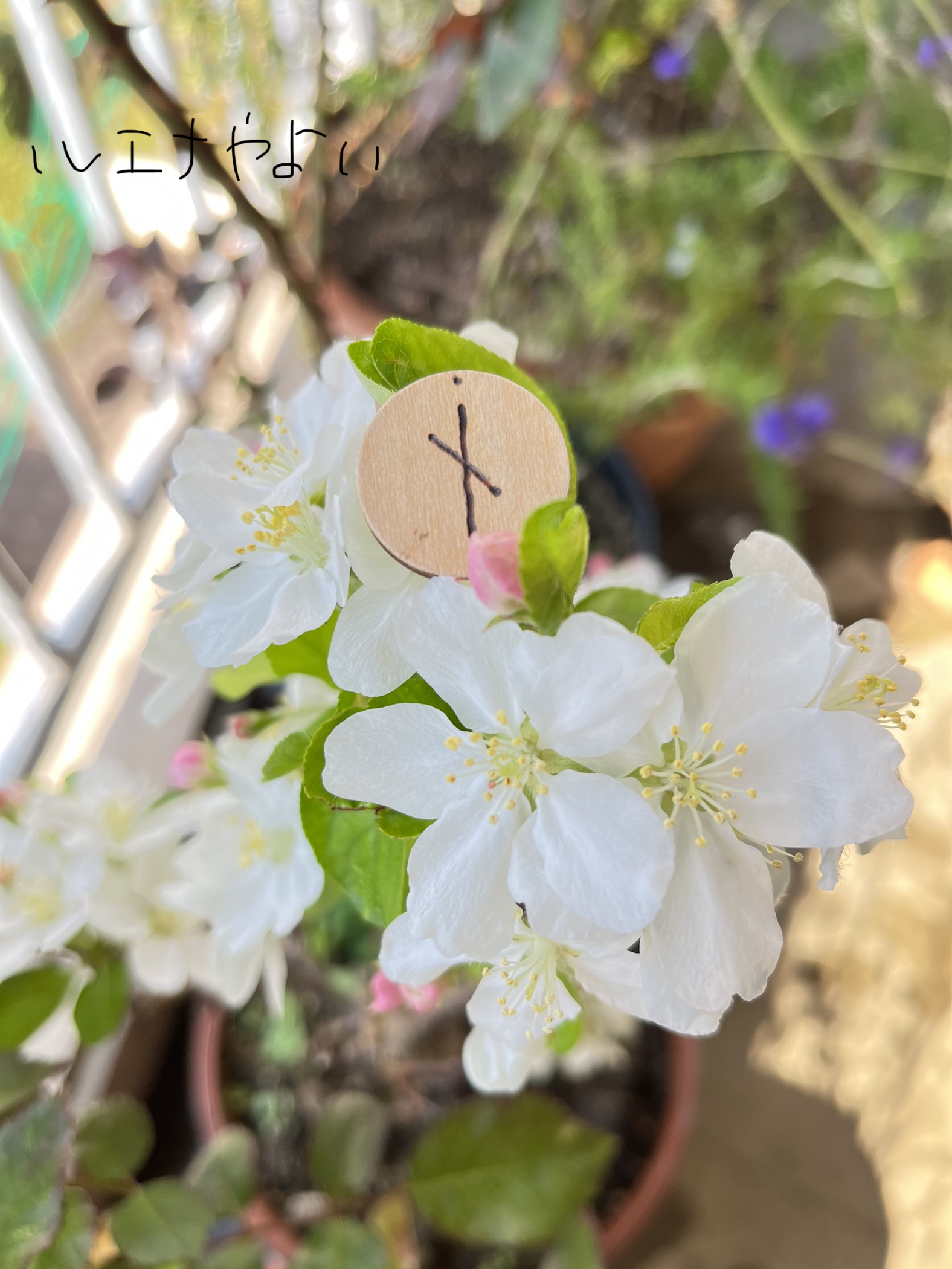 4月4日のルーン
