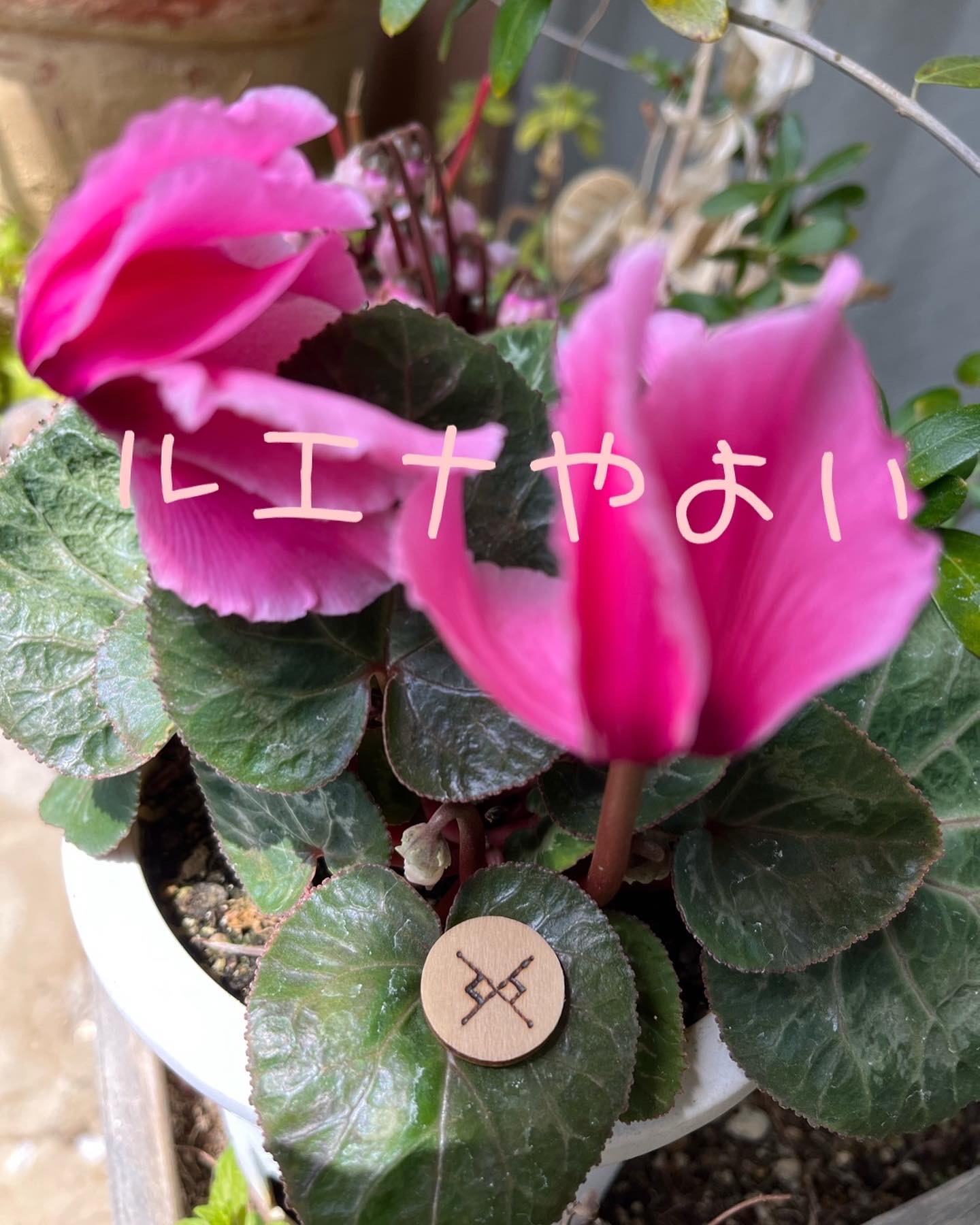 4月13日のルーン