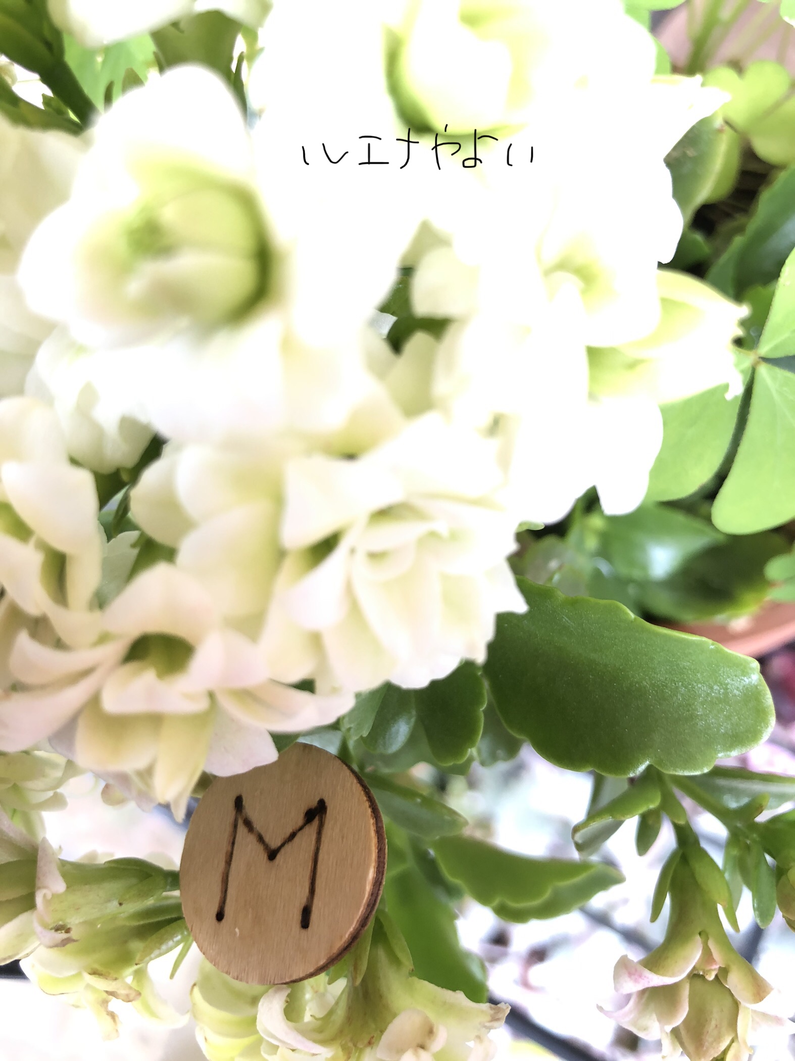3月27日のルーン