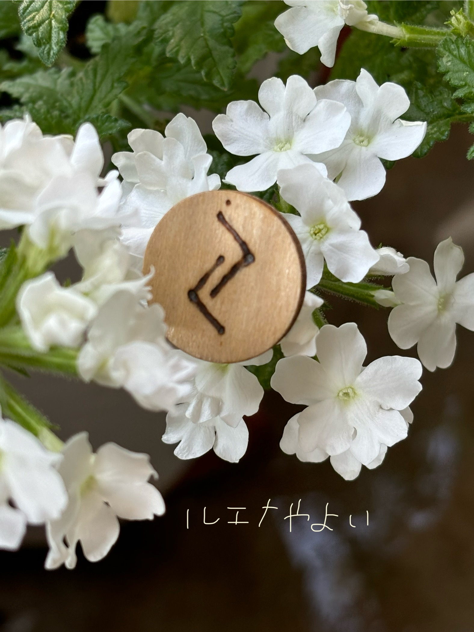 7月23日のルーン