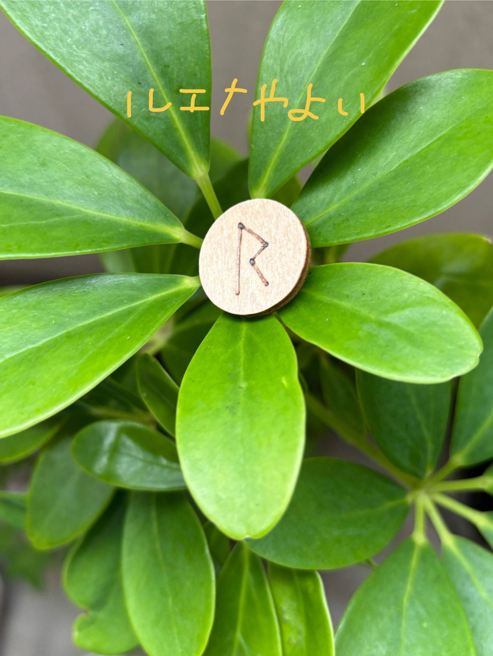 10月22日のルーン