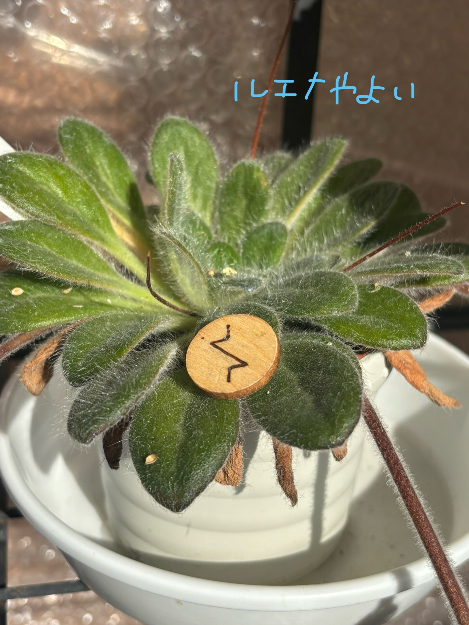 12月9日のルーン