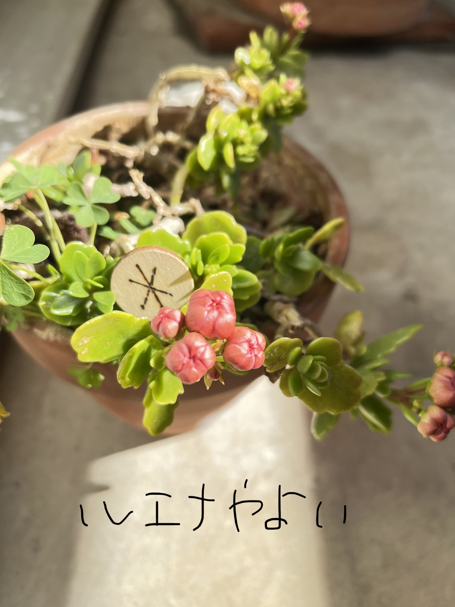 2月2日のルーン