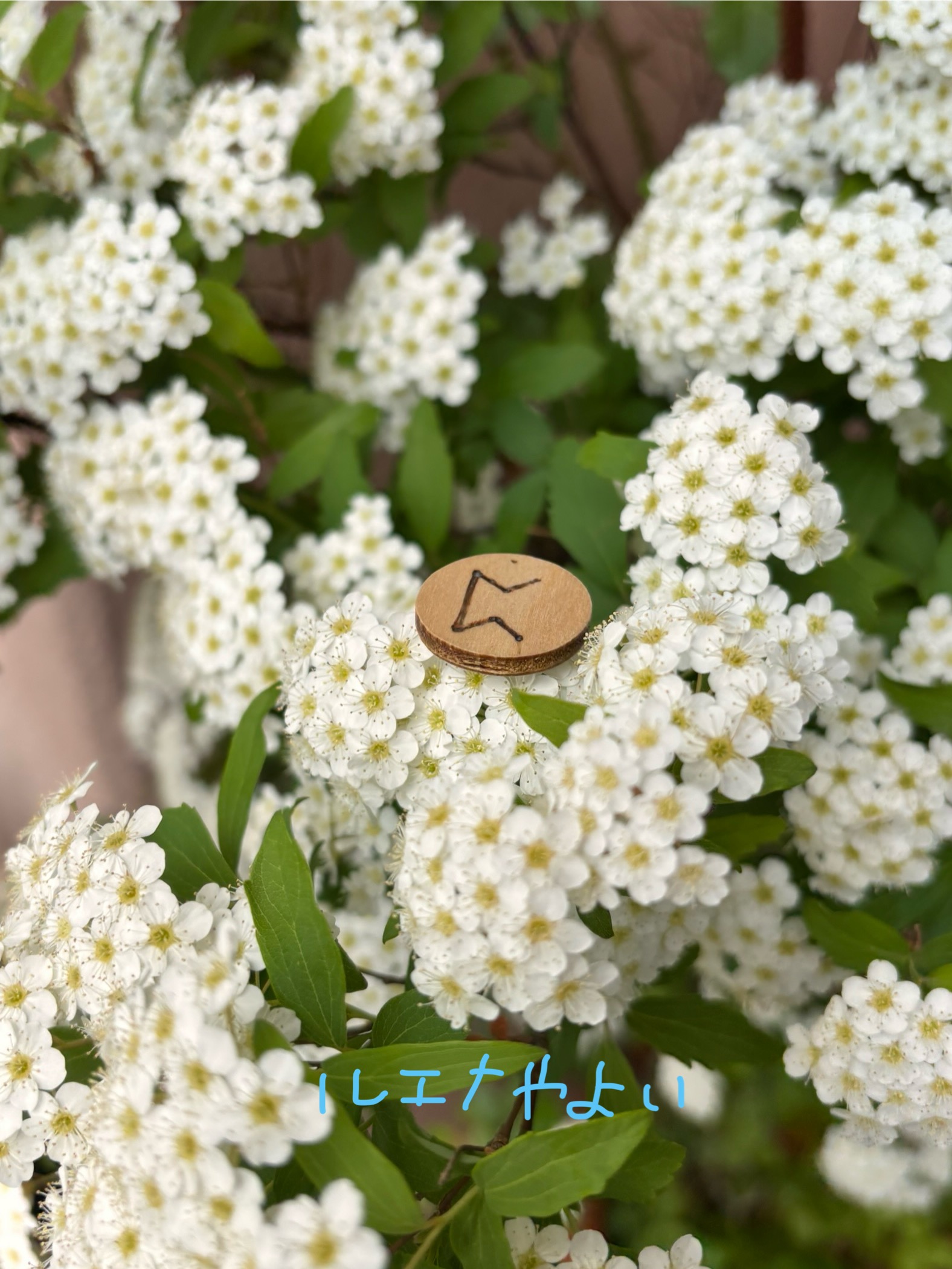 4月25日のルーン