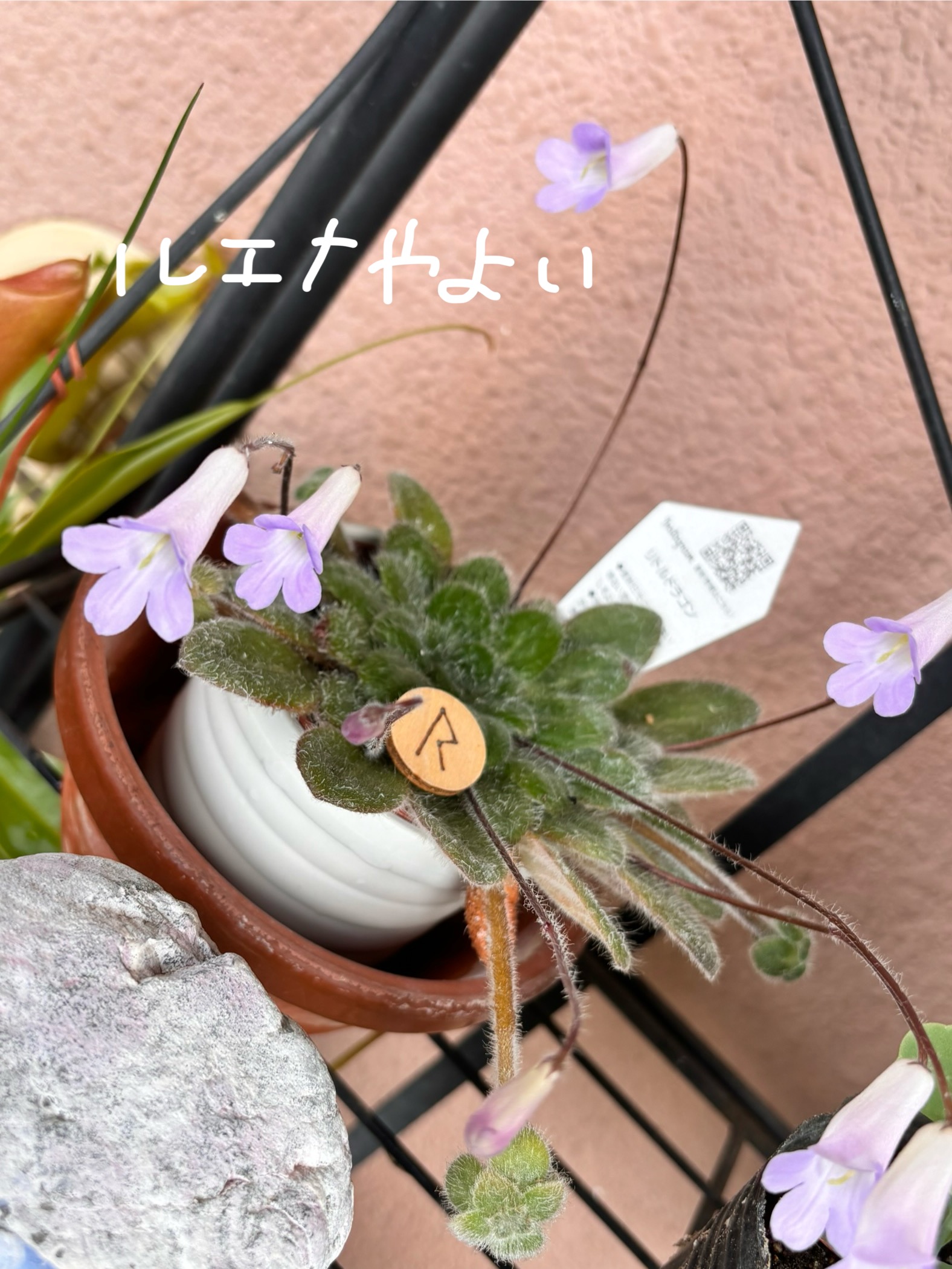 8月1日のルーン