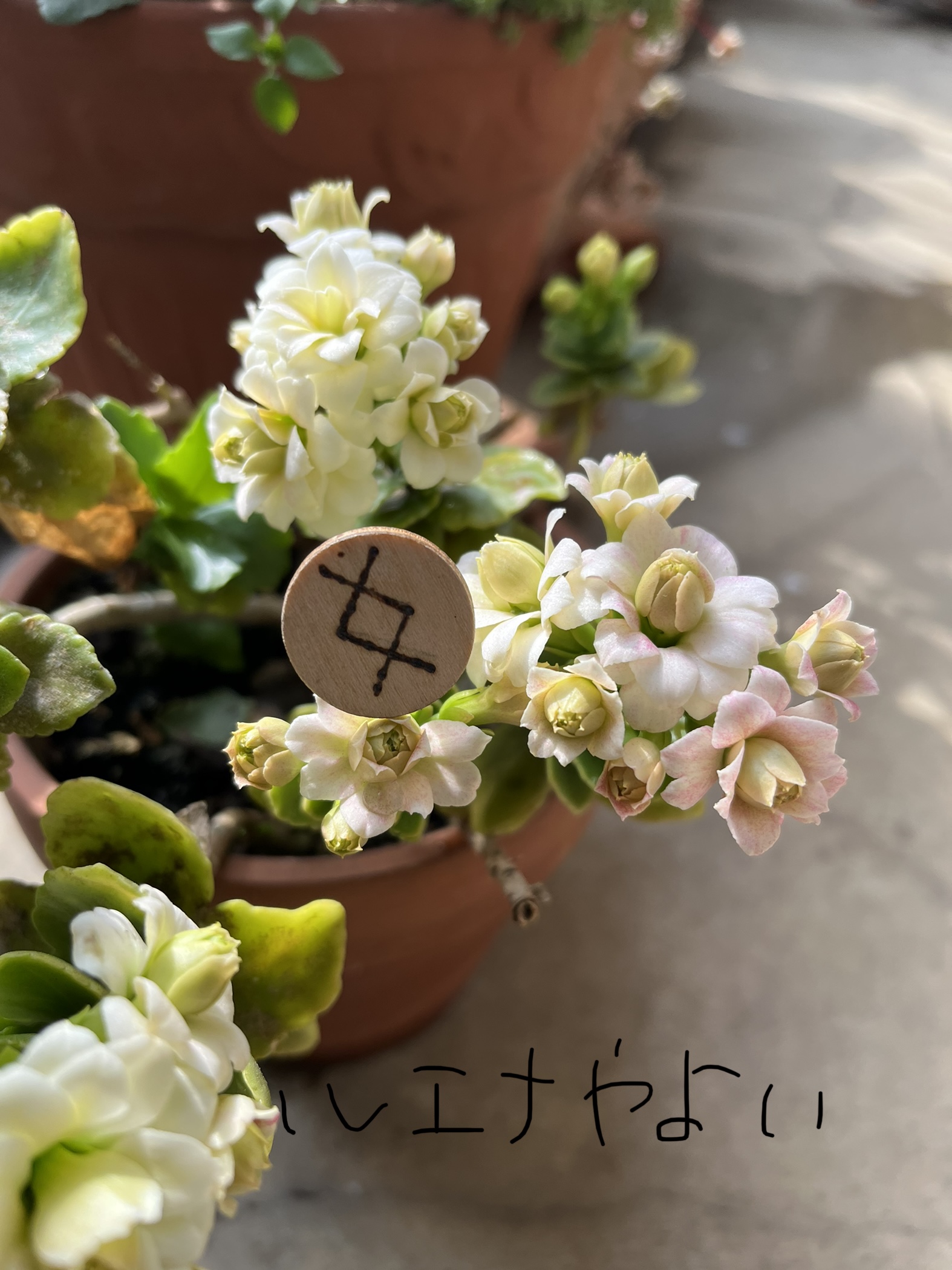 3月11日のルーン
