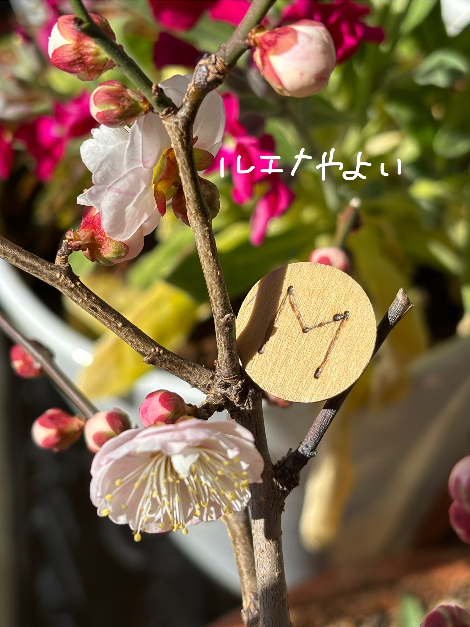 2月14日のルーン。