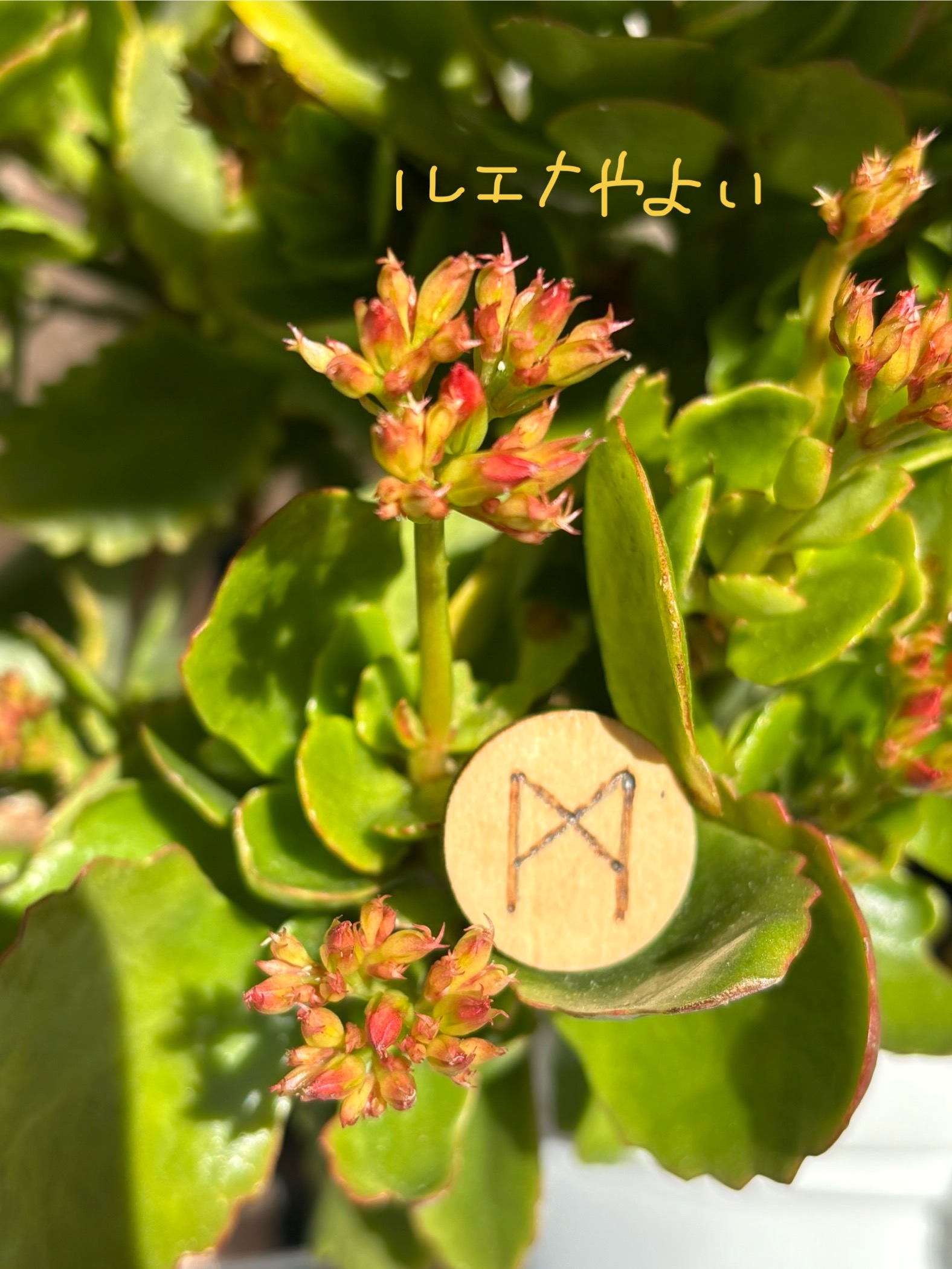 12月10日のルーン