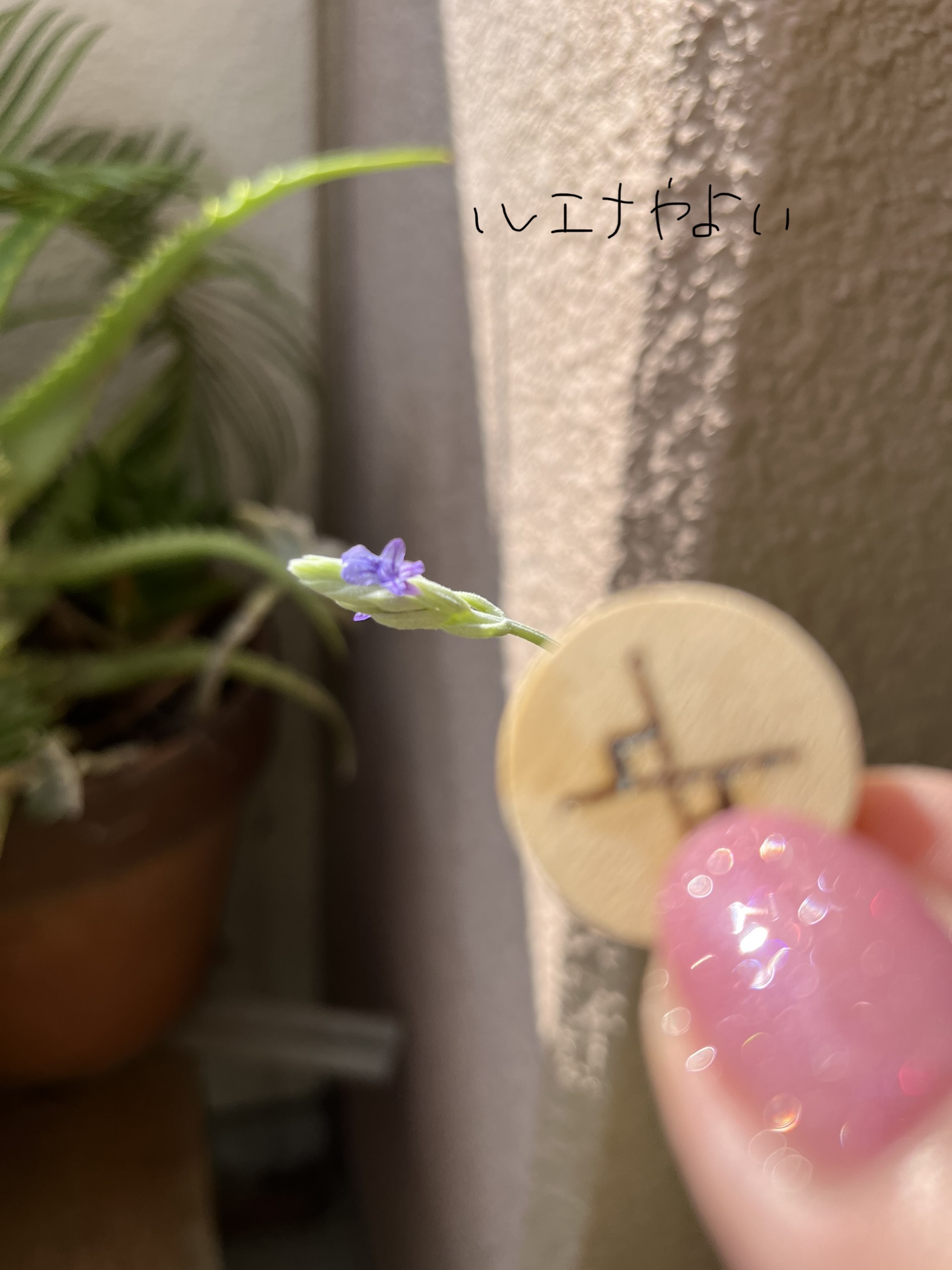 9月27日のルーン