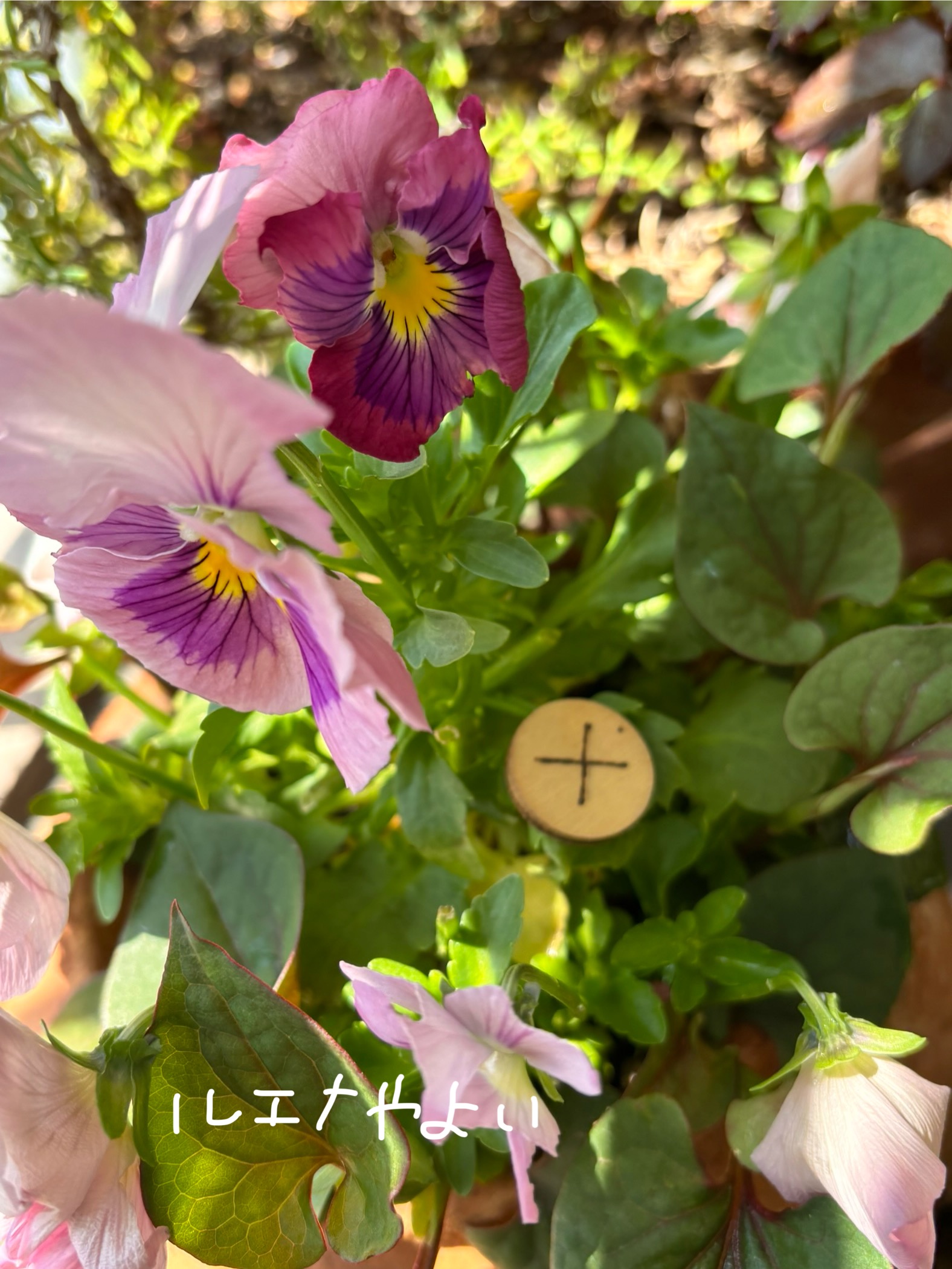 4月19日のルーン