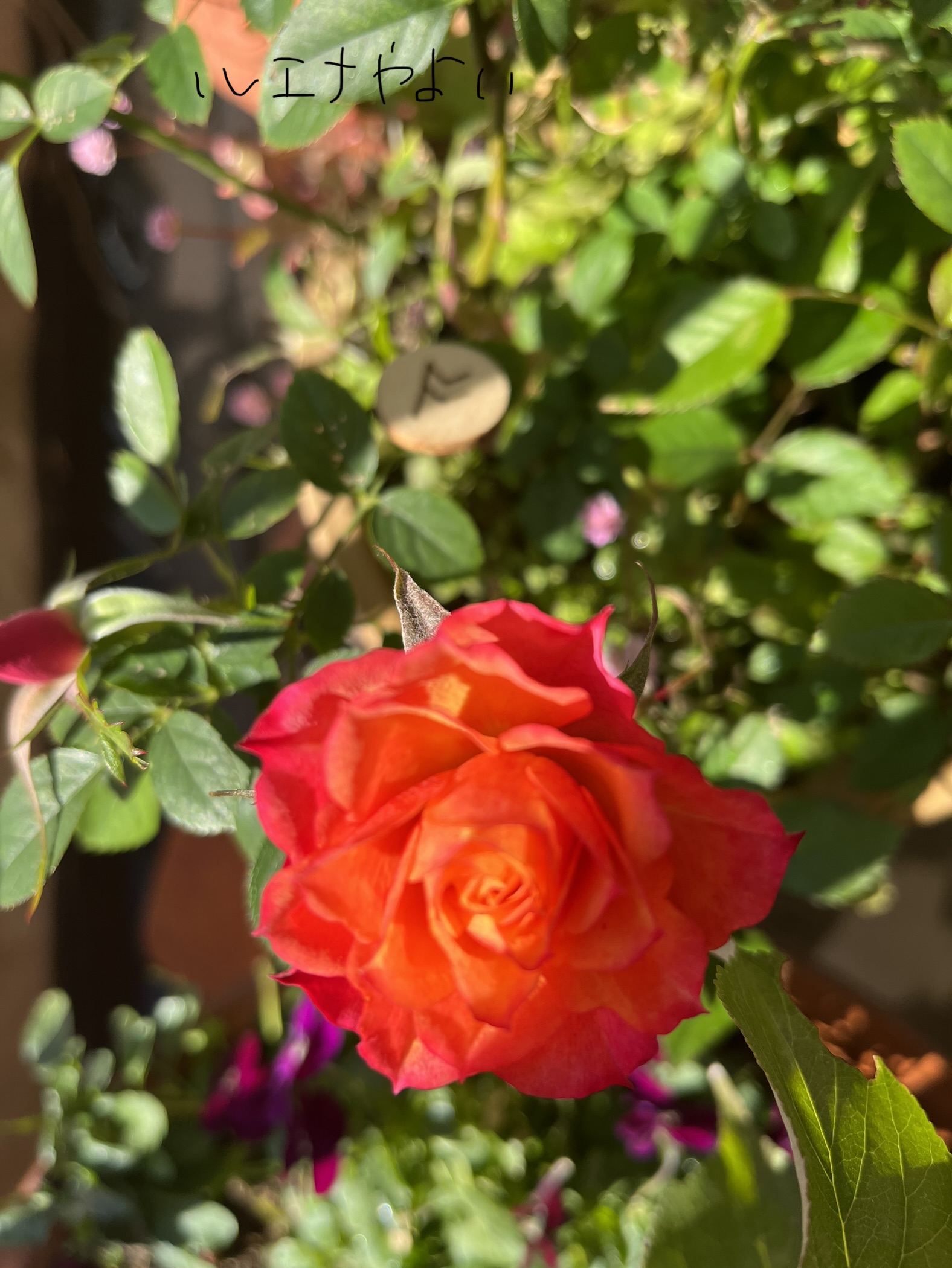 12月18日のルーン