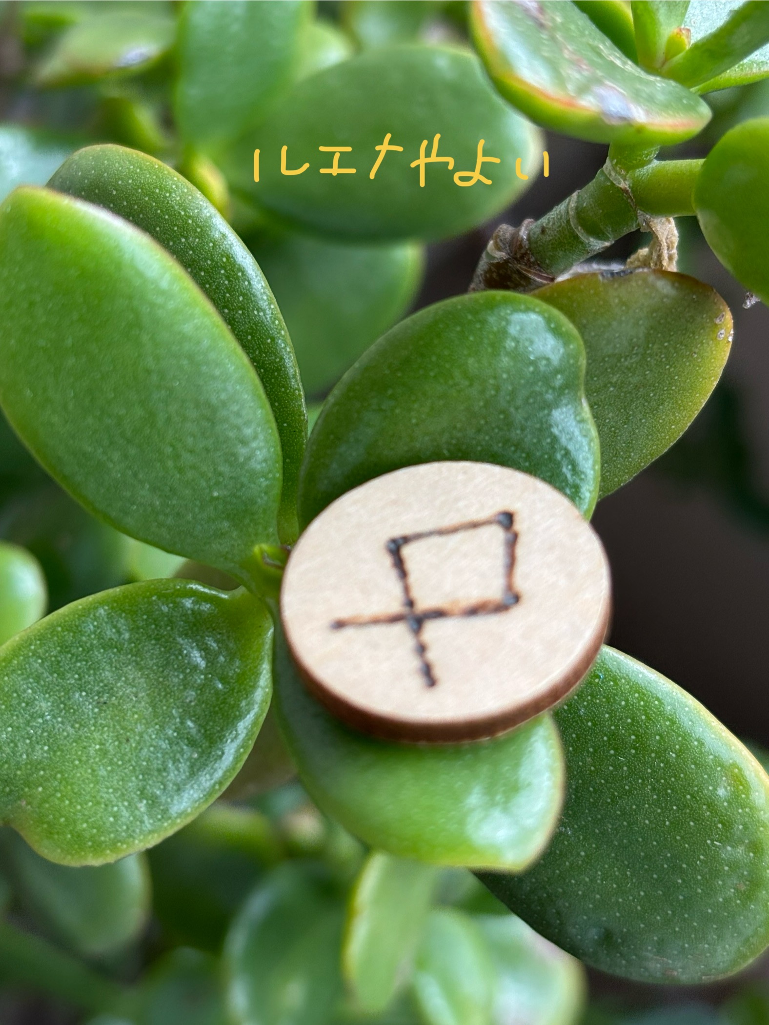 10月28日のルーン