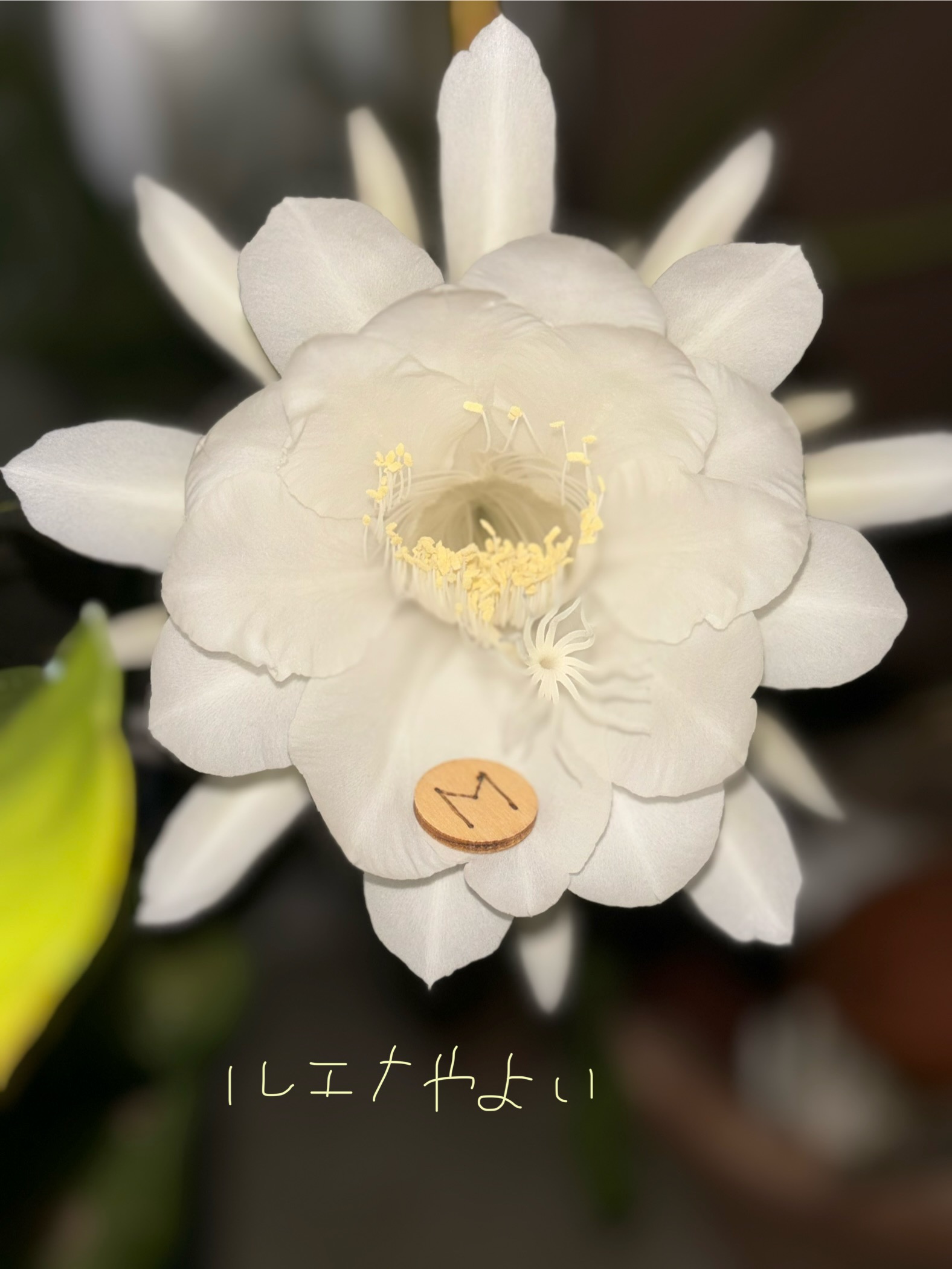 9月21日のルーン