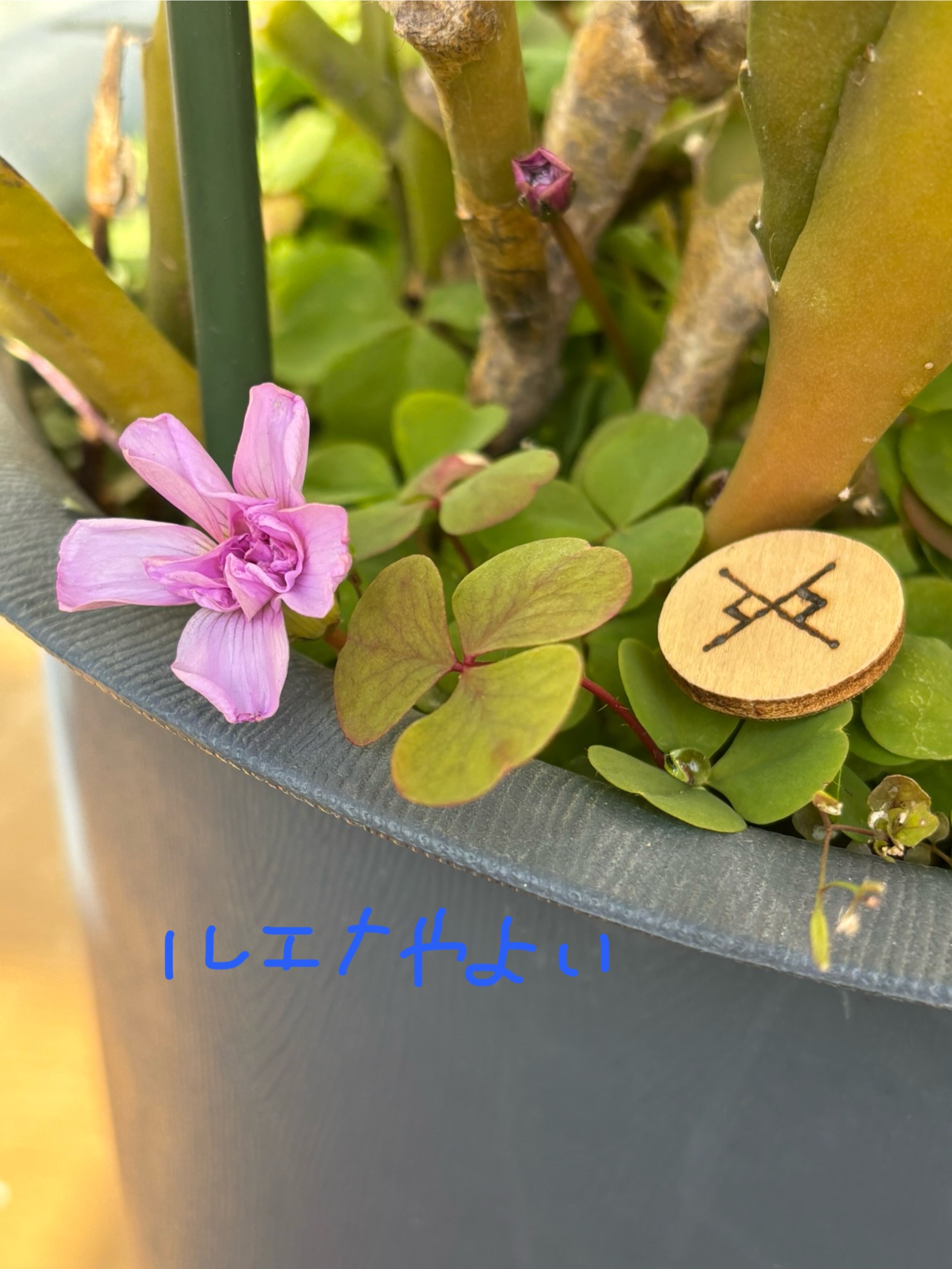 12月31日のルーン