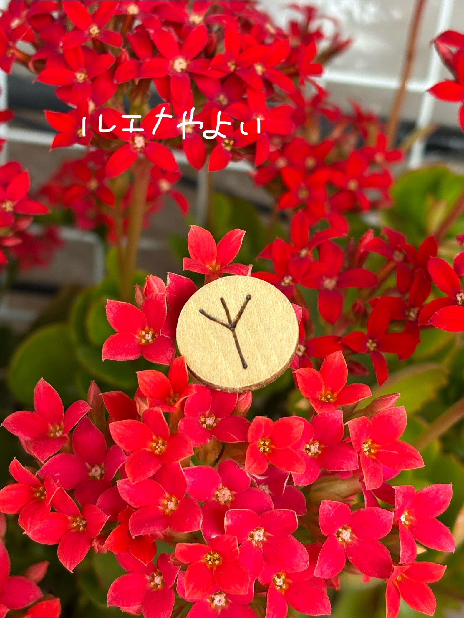 3月5日のルーン