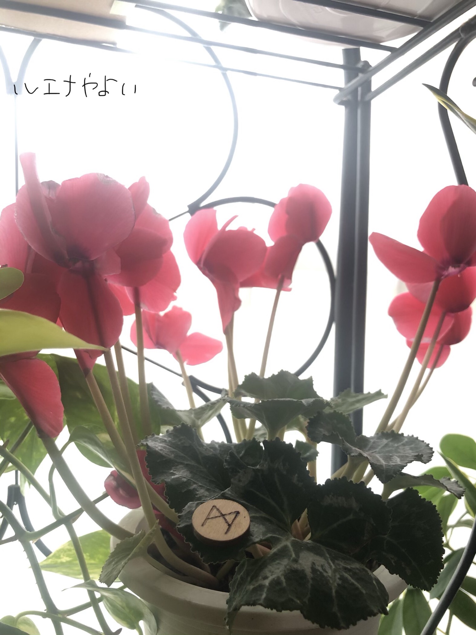 4月5日のルーン