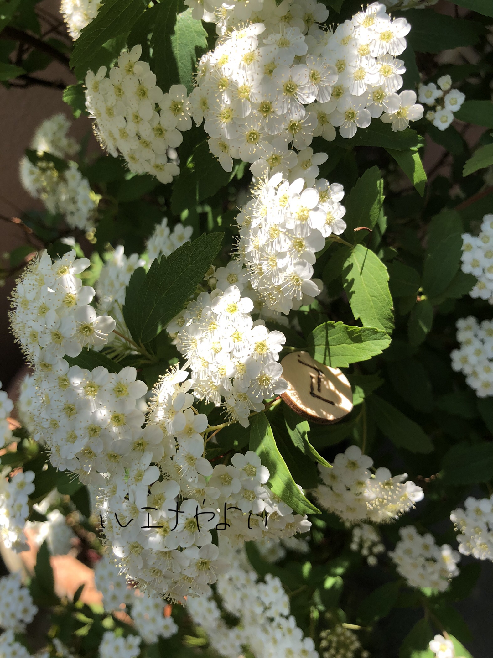 4月15日のルーン